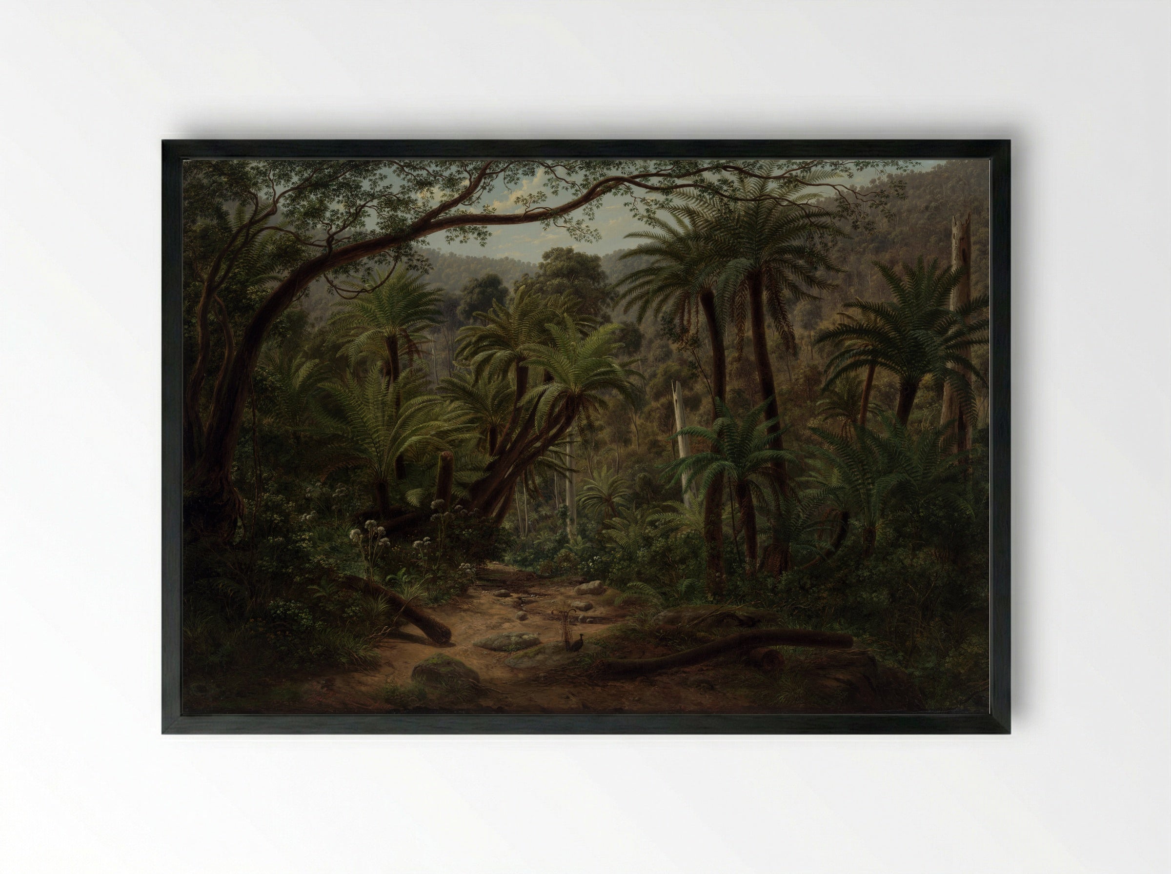 Ferntree Gully in the Dandenong Ranges - Eugene von Guerard - Framed Print Black