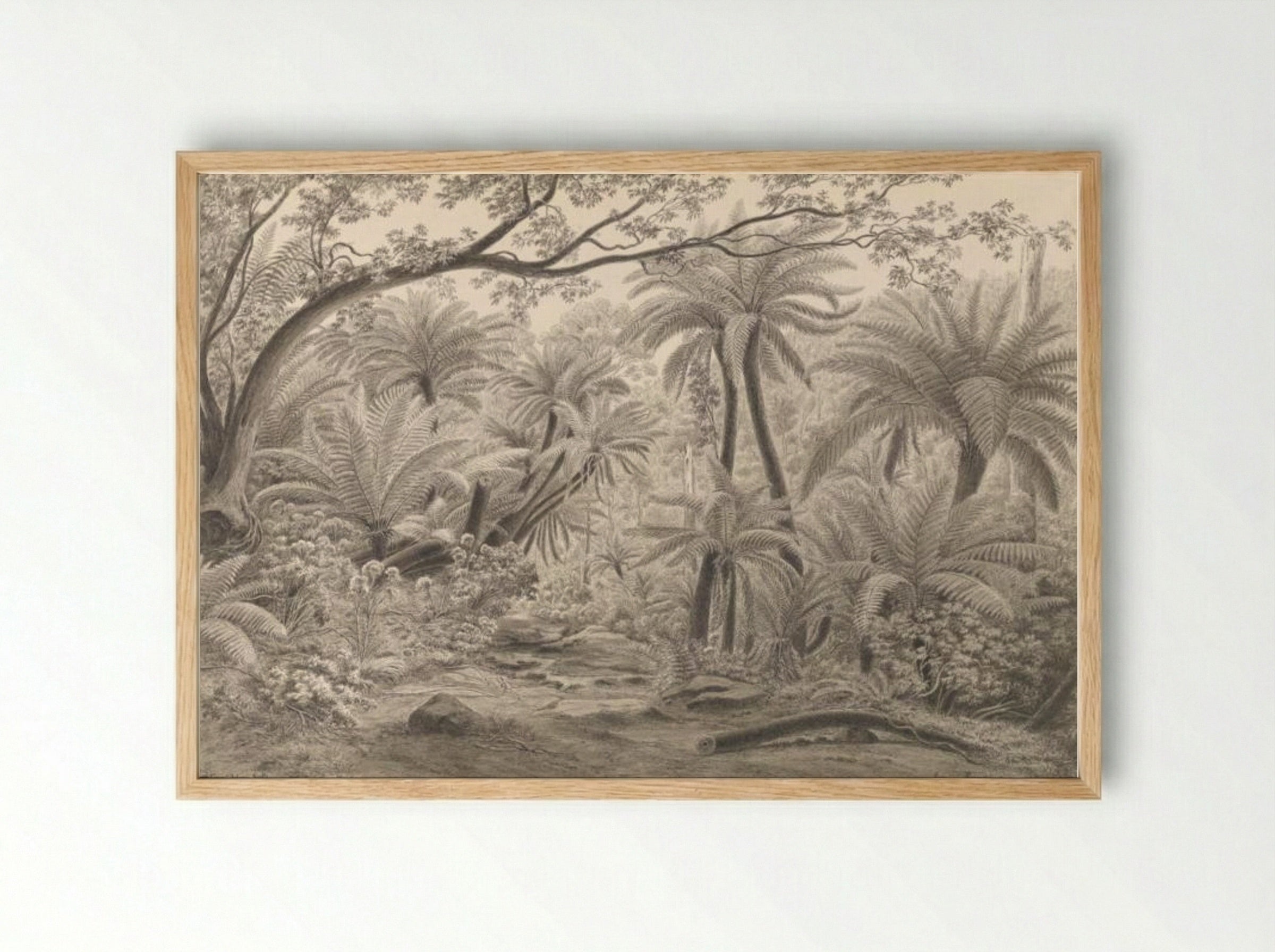 Ferntree or Dobson's Gully, Dandenong Ranges - Eugene von Guerard - Framed Print Wood