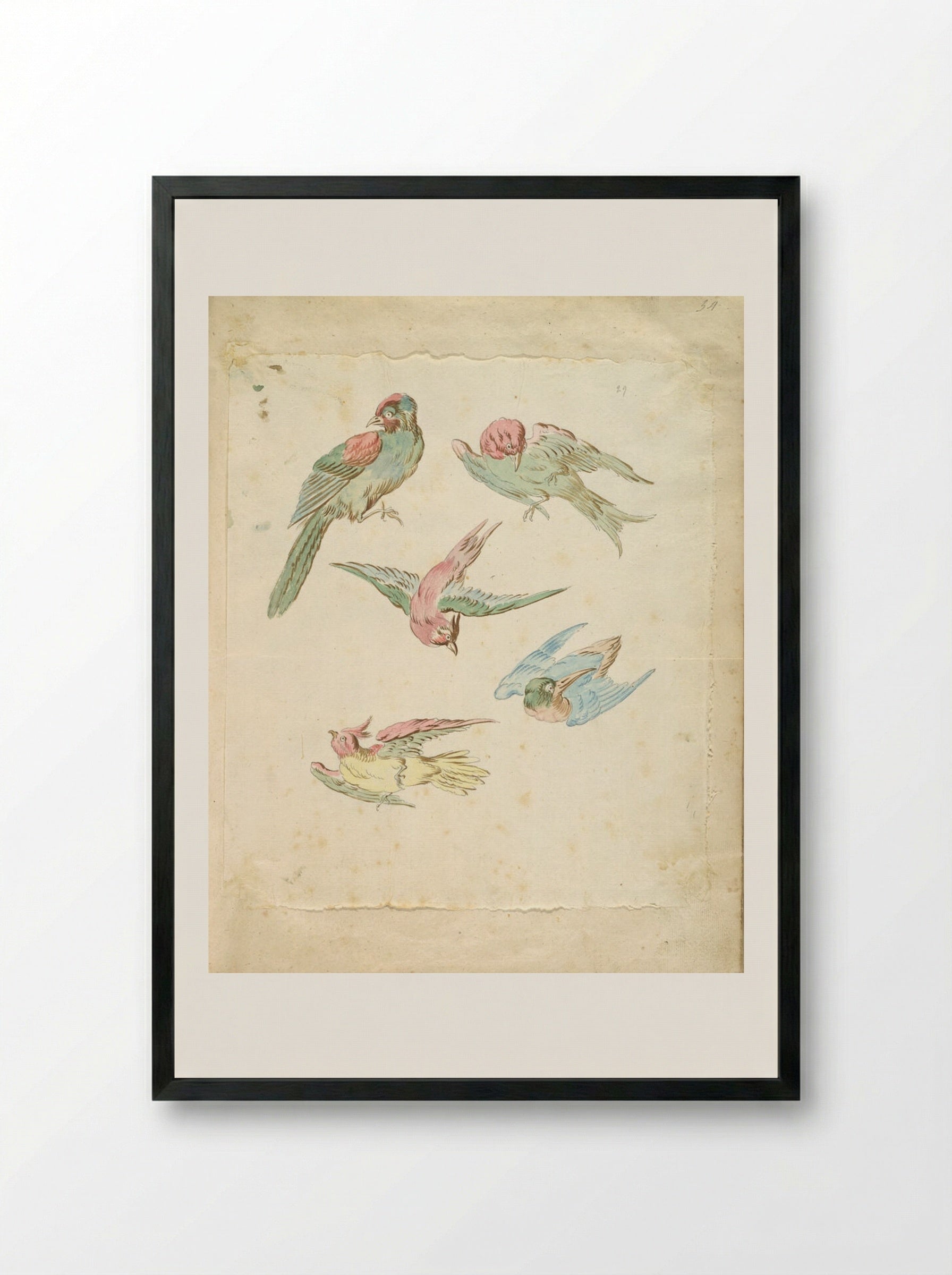 Five Birds, One Perched, Four in Flight - Jean-Baptiste Oudry - Framed Print Black