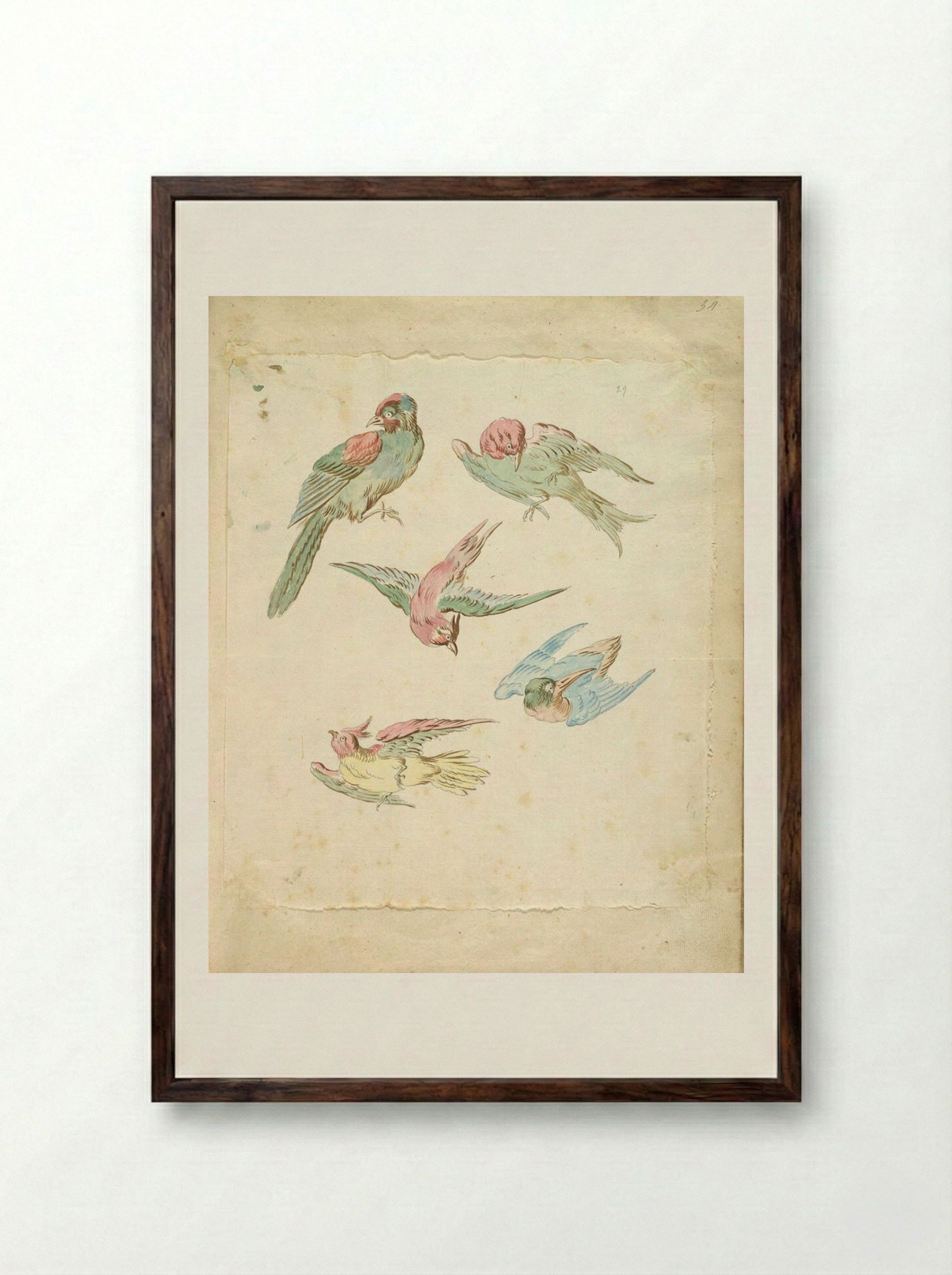 Five Birds, One Perched, Four in Flight - Jean-Baptiste Oudry - Framed Print Dark Wood