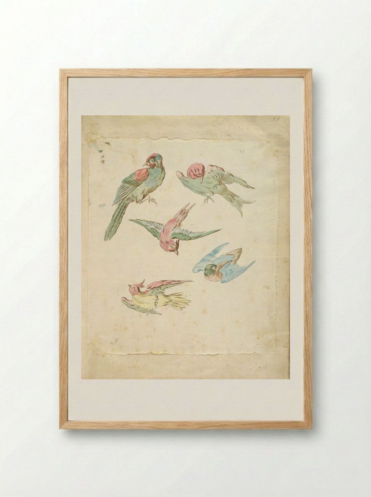 Five Birds, One Perched, Four in Flight - Jean-Baptiste Oudry - Framed Print Wood
