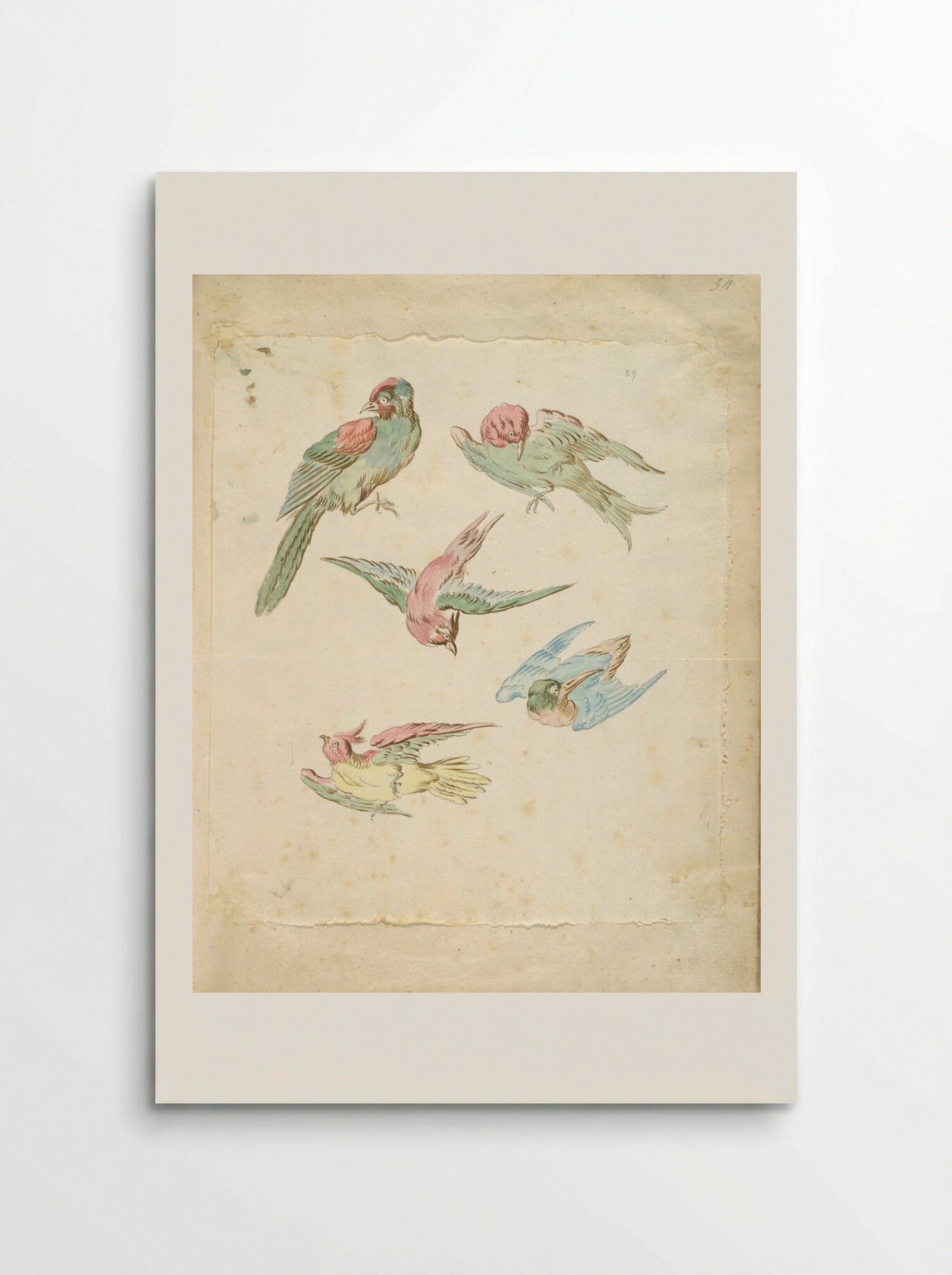 Five Birds, One Perched, Four in Flight - Jean-Baptiste Oudry - Poster