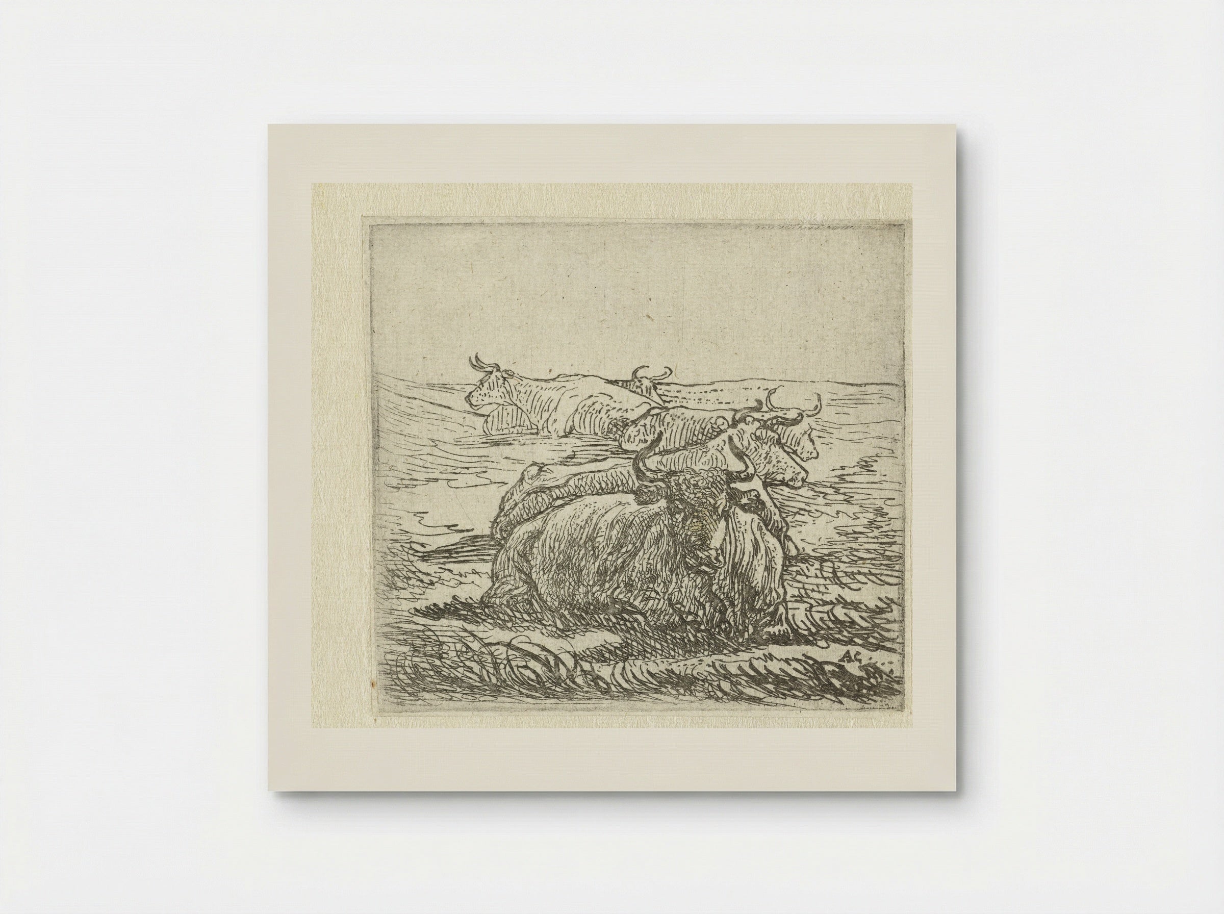 Five Resting Cows - Aelbert Cuyp - Poster