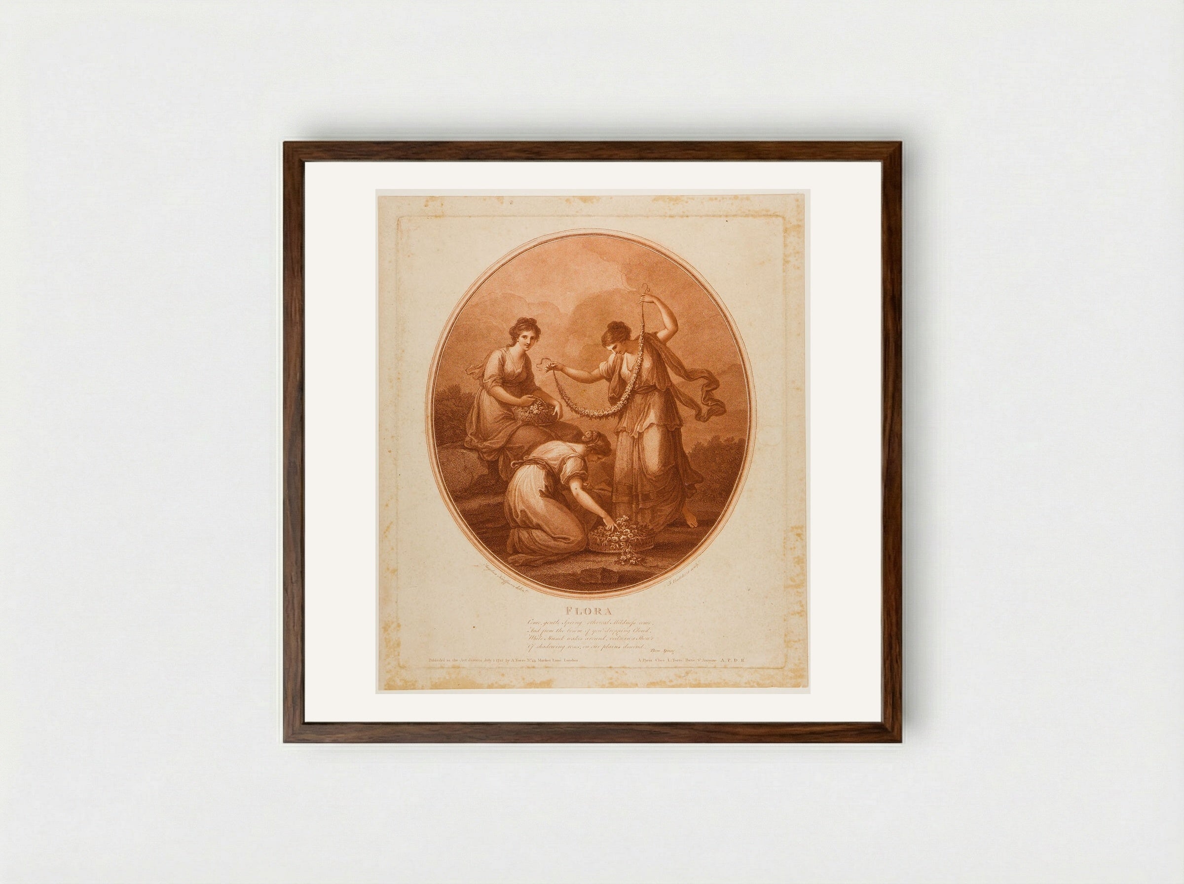 Flora - Francesco Bartolozzi - Framed Print Dark Wood