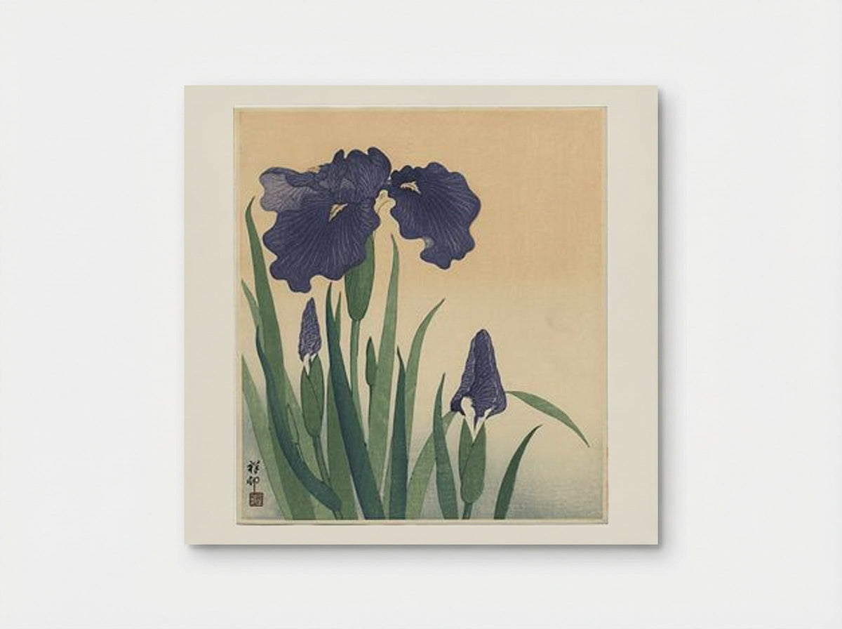 Flowering Iris - Ohara Koson - Poster
