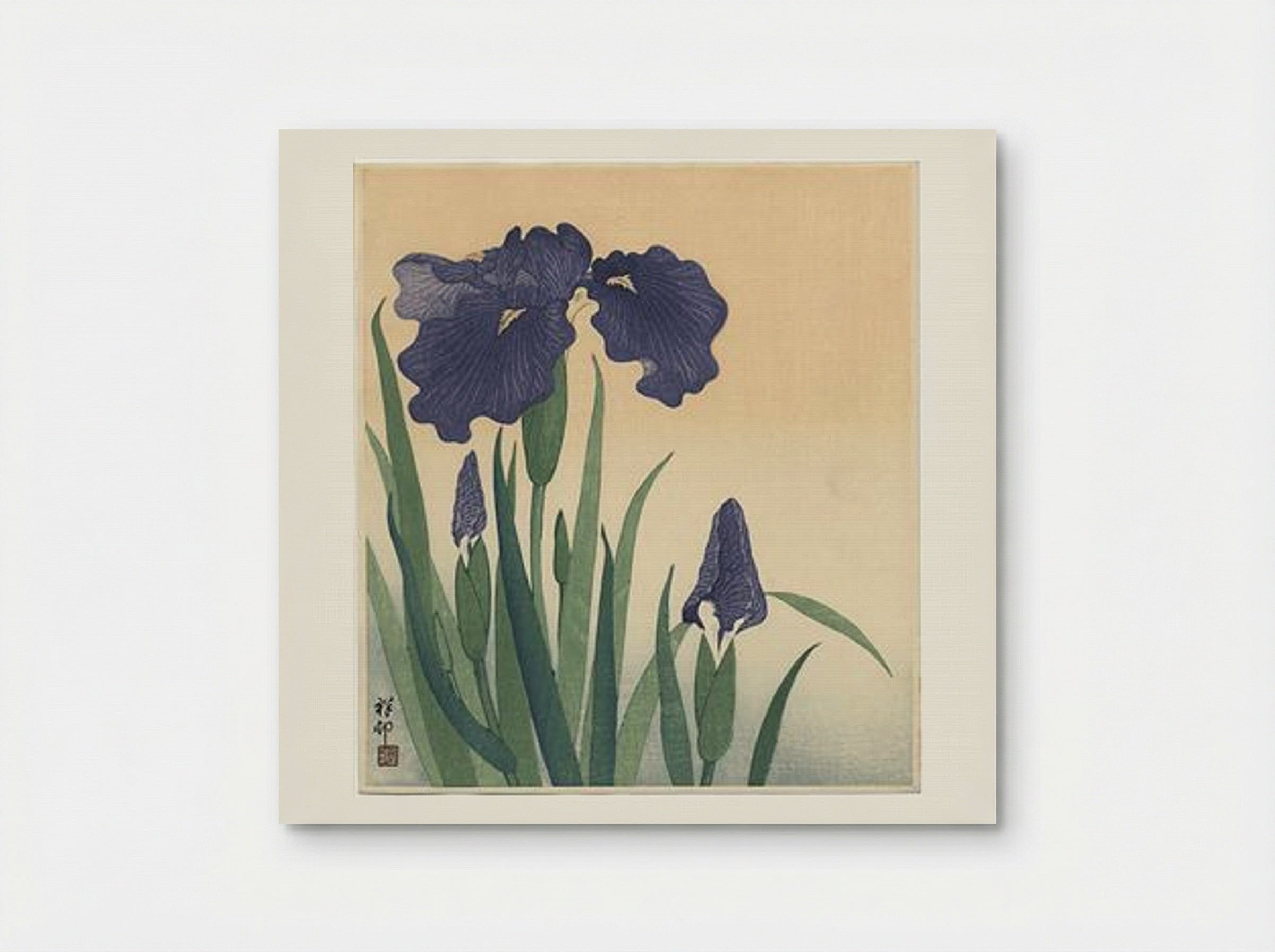 Flowering Iris - Ohara Koson - Poster