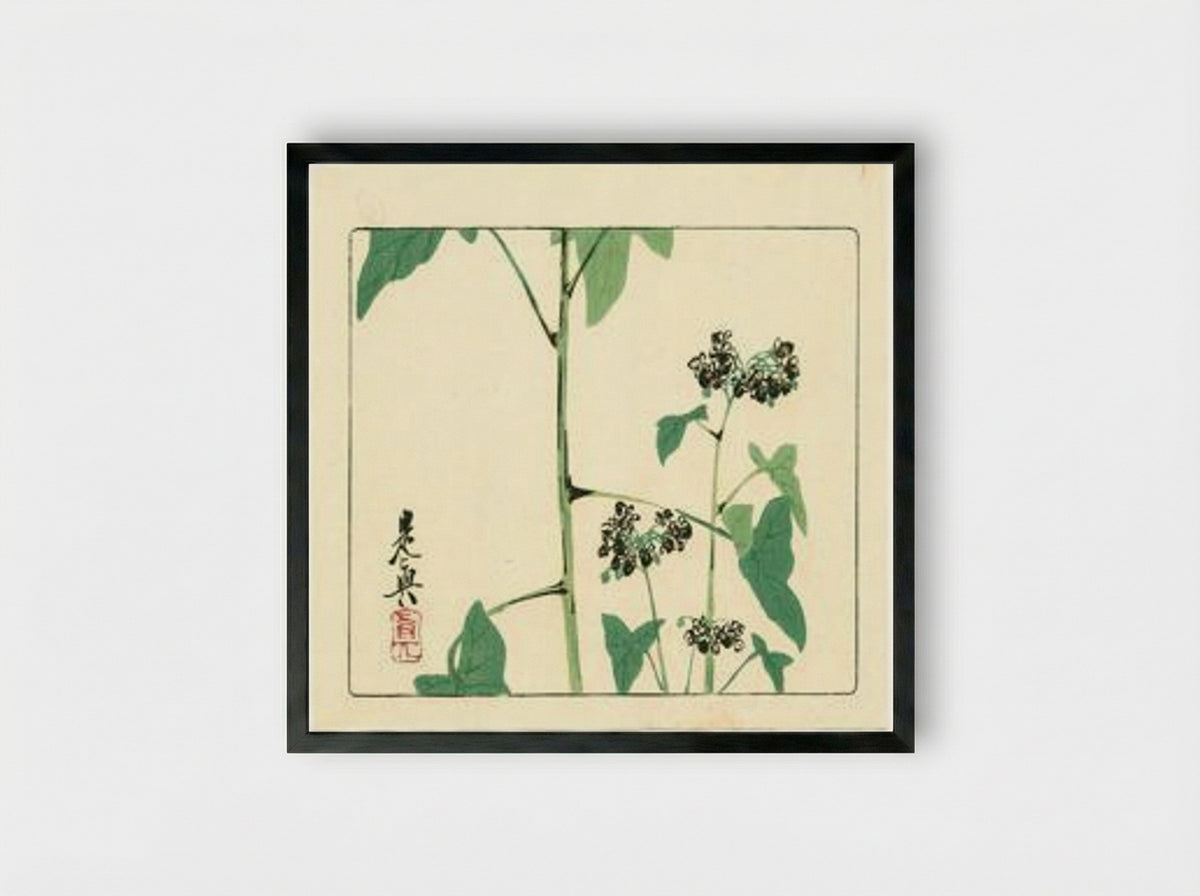 Flowering Plant - Hana Kurabe - Framed Print Black