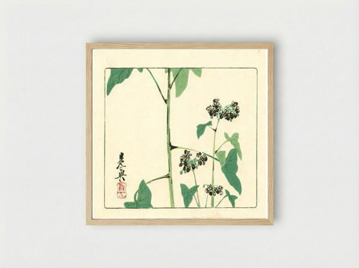 Flowering Plant - Hana Kurabe - Framed Print Wood