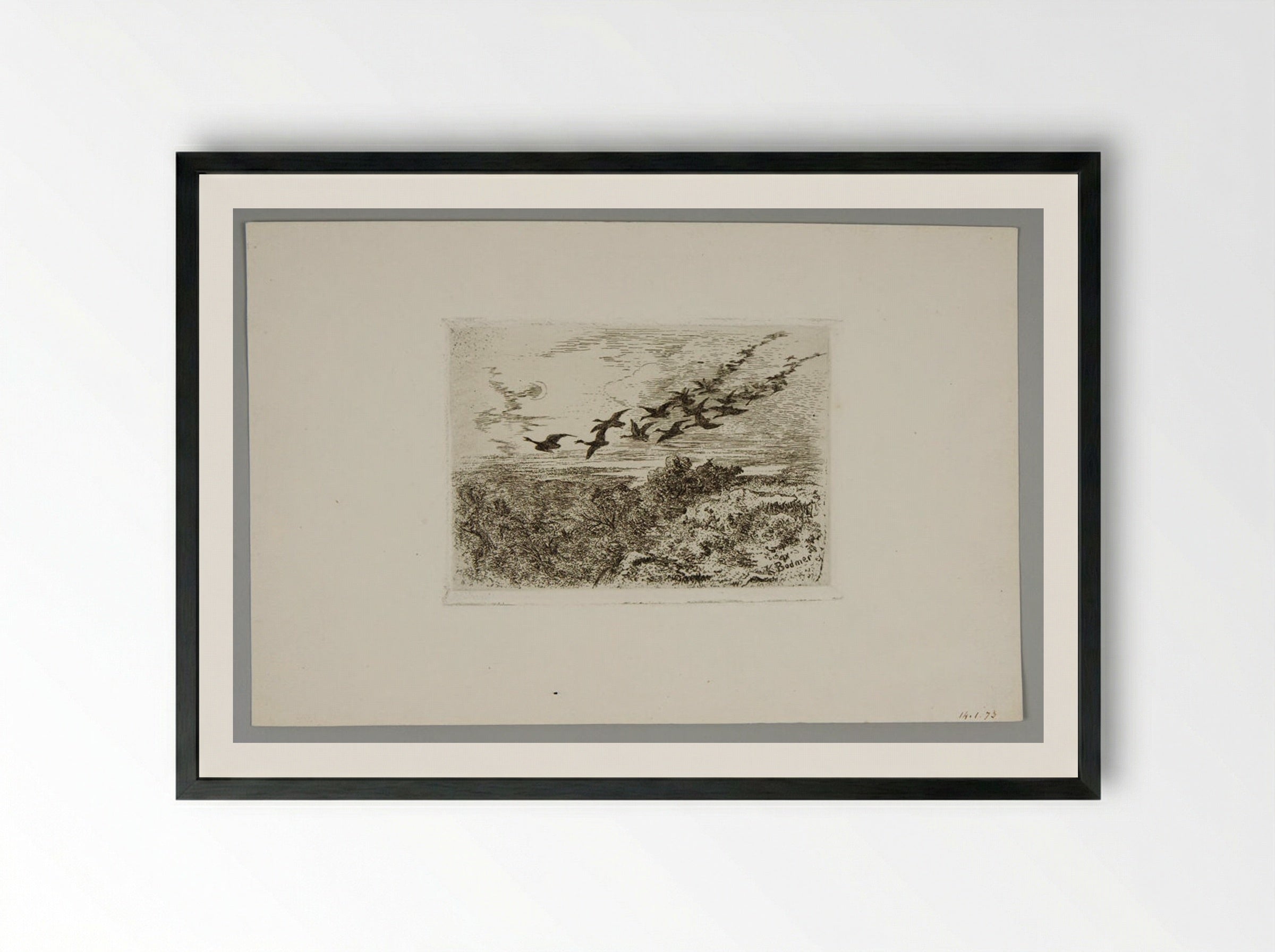 Flying Geese - Karl Bodmer - Framed Print Black