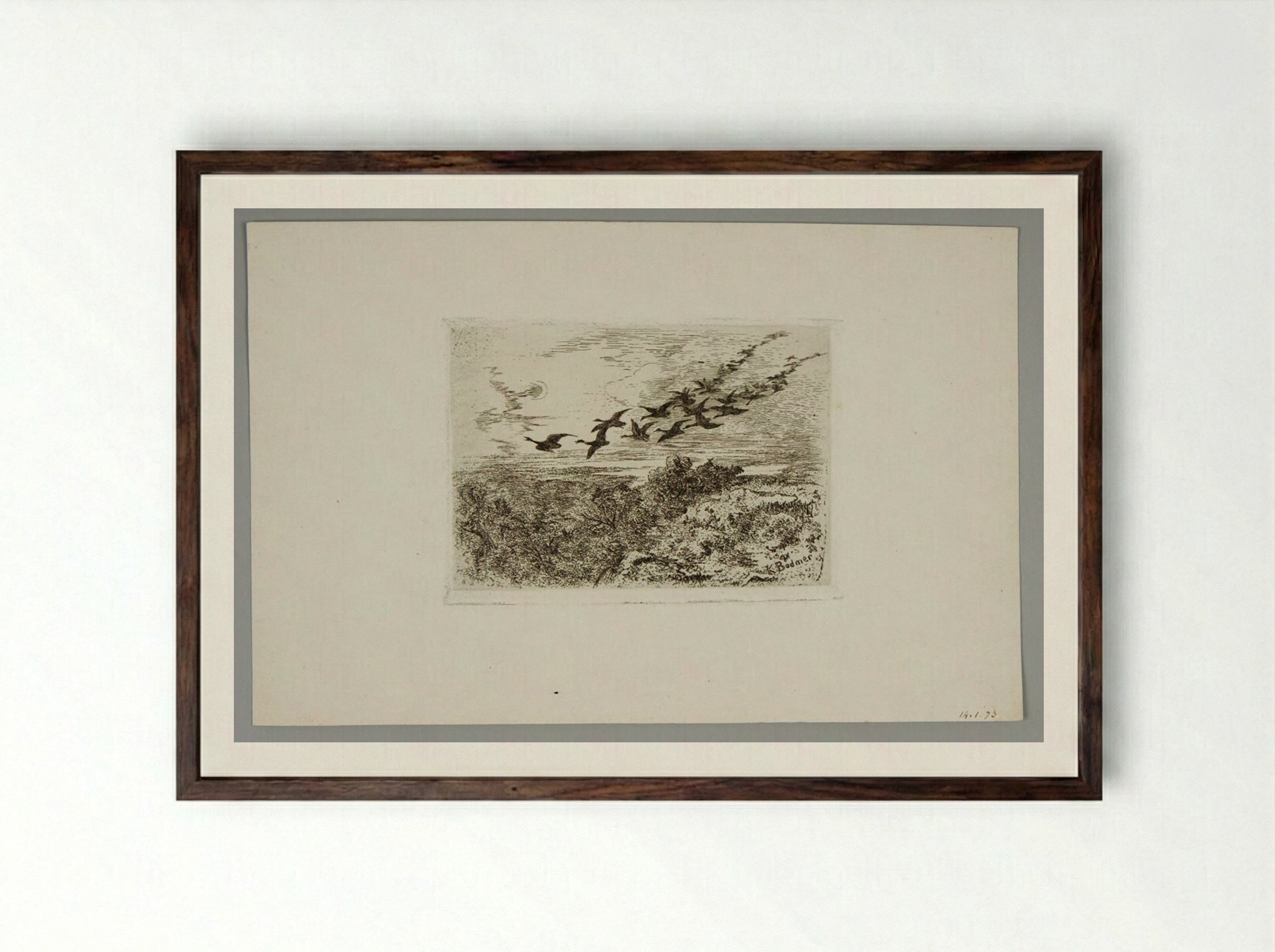 Flying Geese - Karl Bodmer - Framed Print Dark Wood