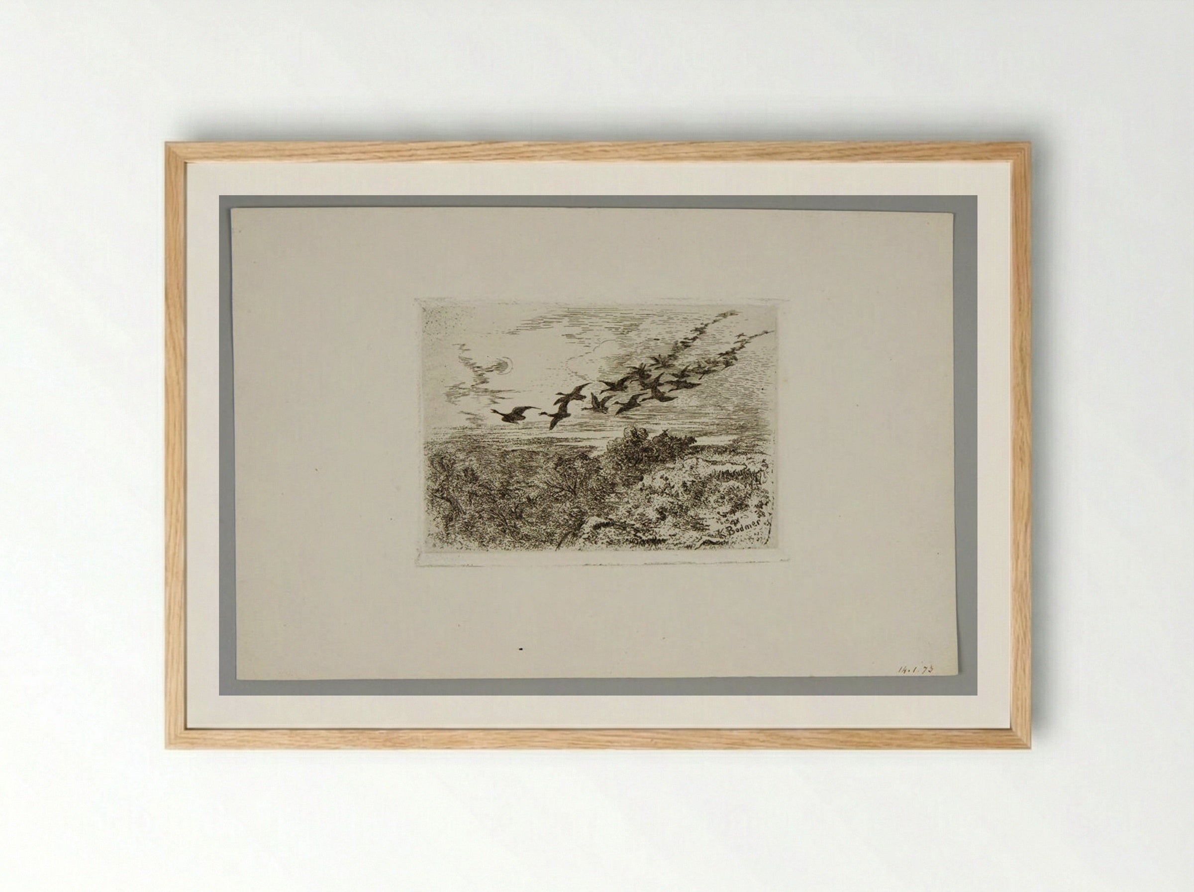 Flying Geese - Karl Bodmer - Framed Print Wood