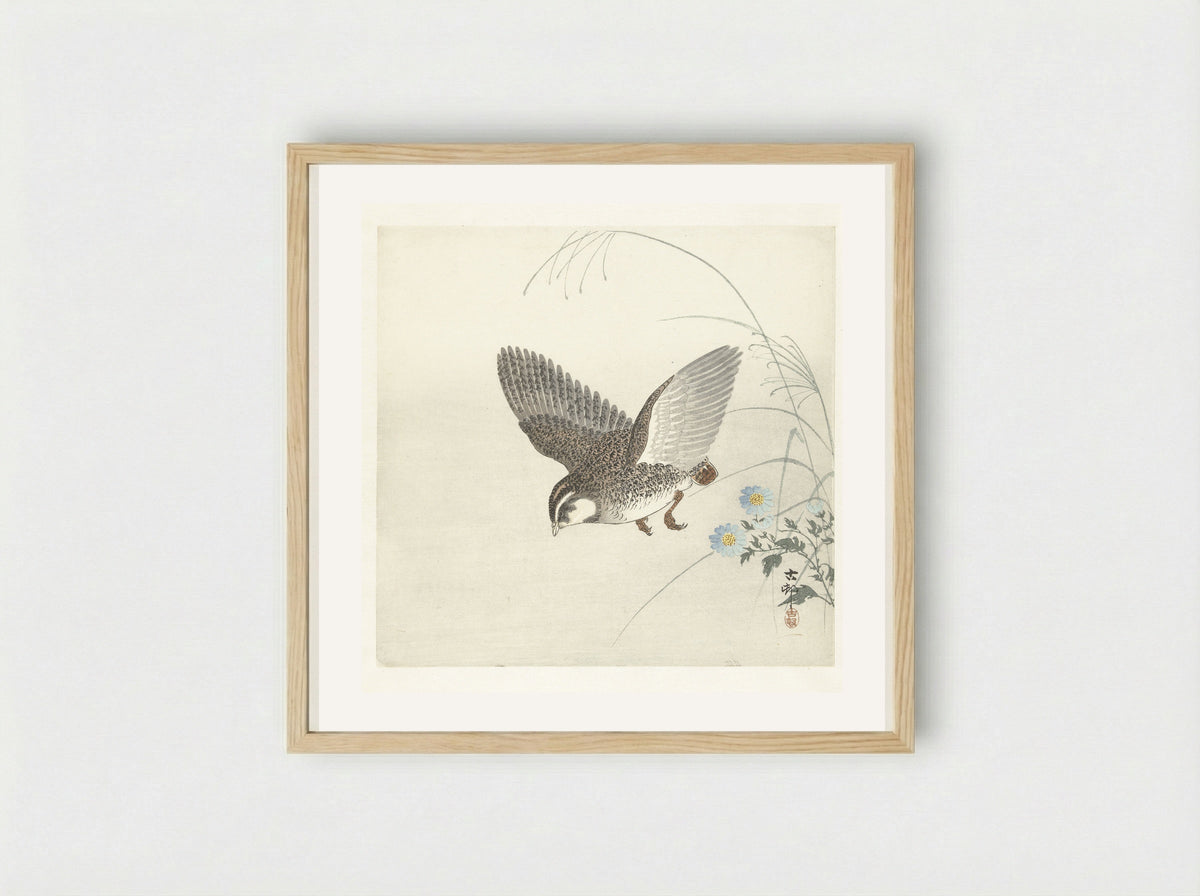 Flying Quail - Matsuki Heikichi - Framed Print Wood