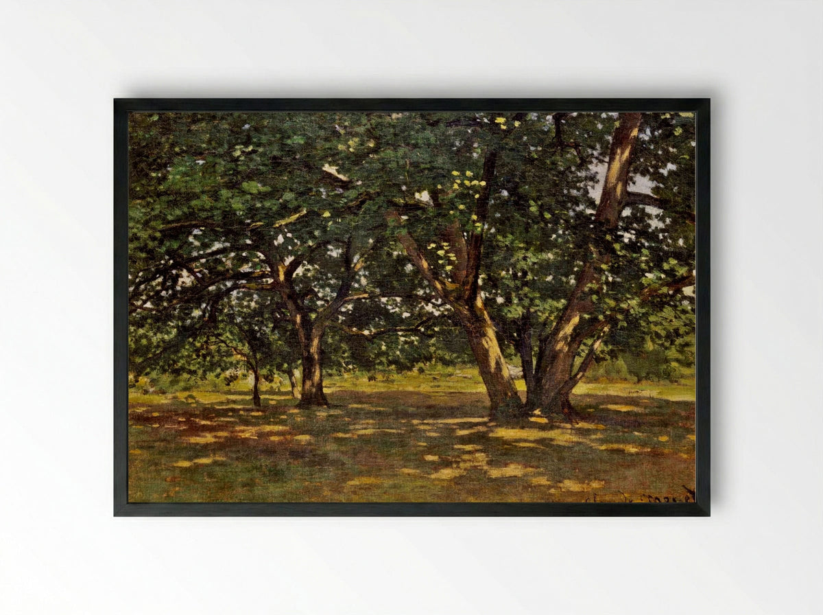Fontainebleau Forest - Claude Monet - Framed Print Black