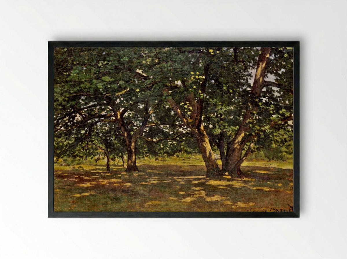 Fontainebleau Forest - Claude Monet - Framed Print Black