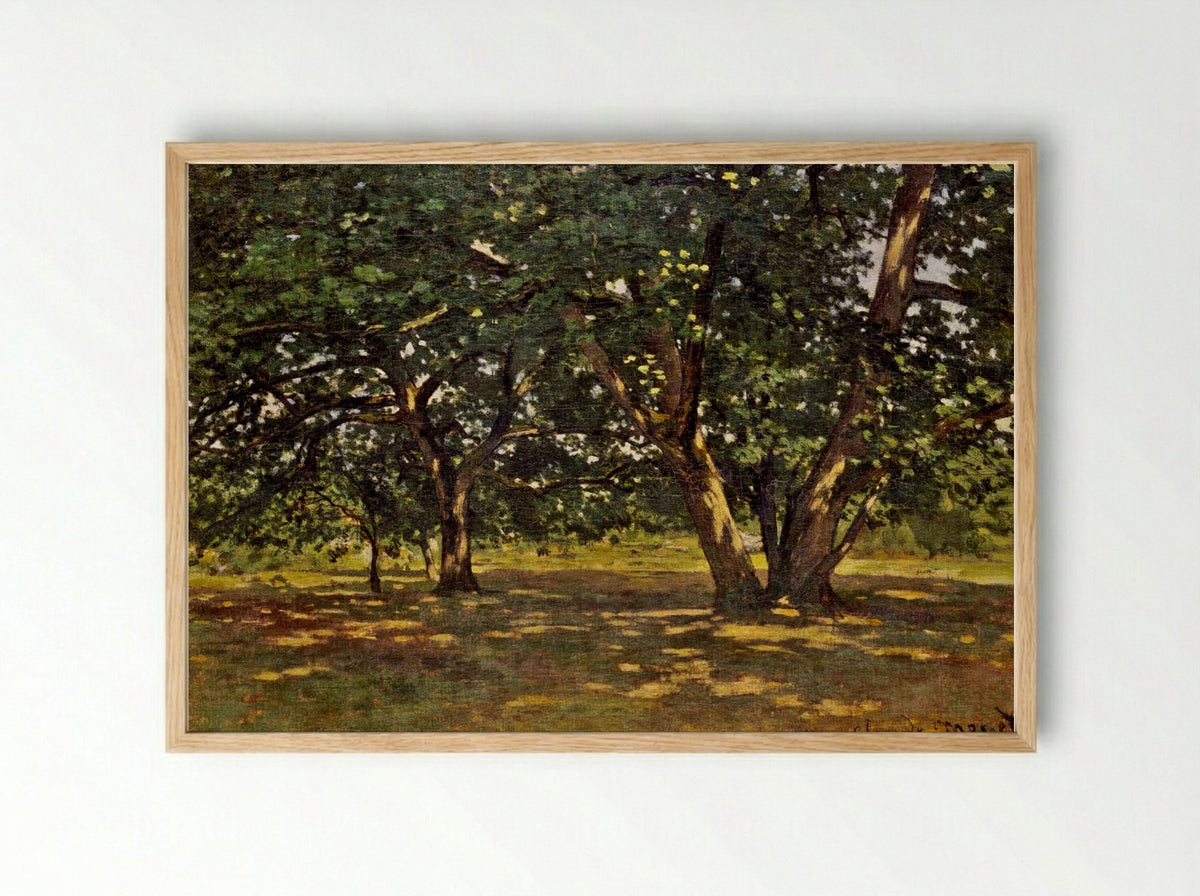 Fontainebleau Forest - Claude Monet - Framed Print Wood