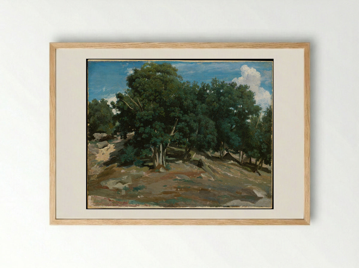 Fontainebleau: Oak Trees at Bas-Bréau - Camille Corot - Framed Print Wood