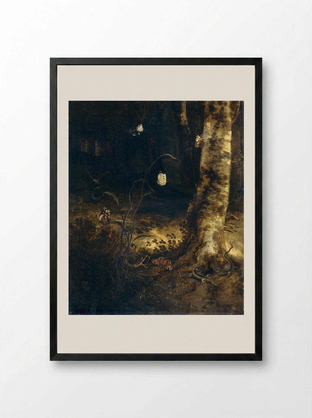 Forest Floor with a Snake, Lizards, Butterflies and Other Insects - Otto Marseus van Schrieck - Framed Print Black