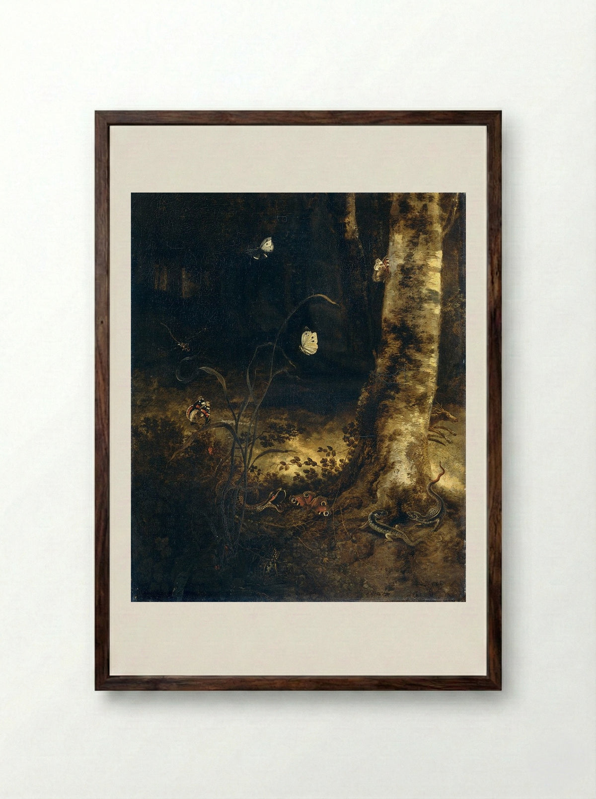 Forest Floor with a Snake, Lizards, Butterflies and Other Insects - Otto Marseus van Schrieck - Framed Print Dark Wood
