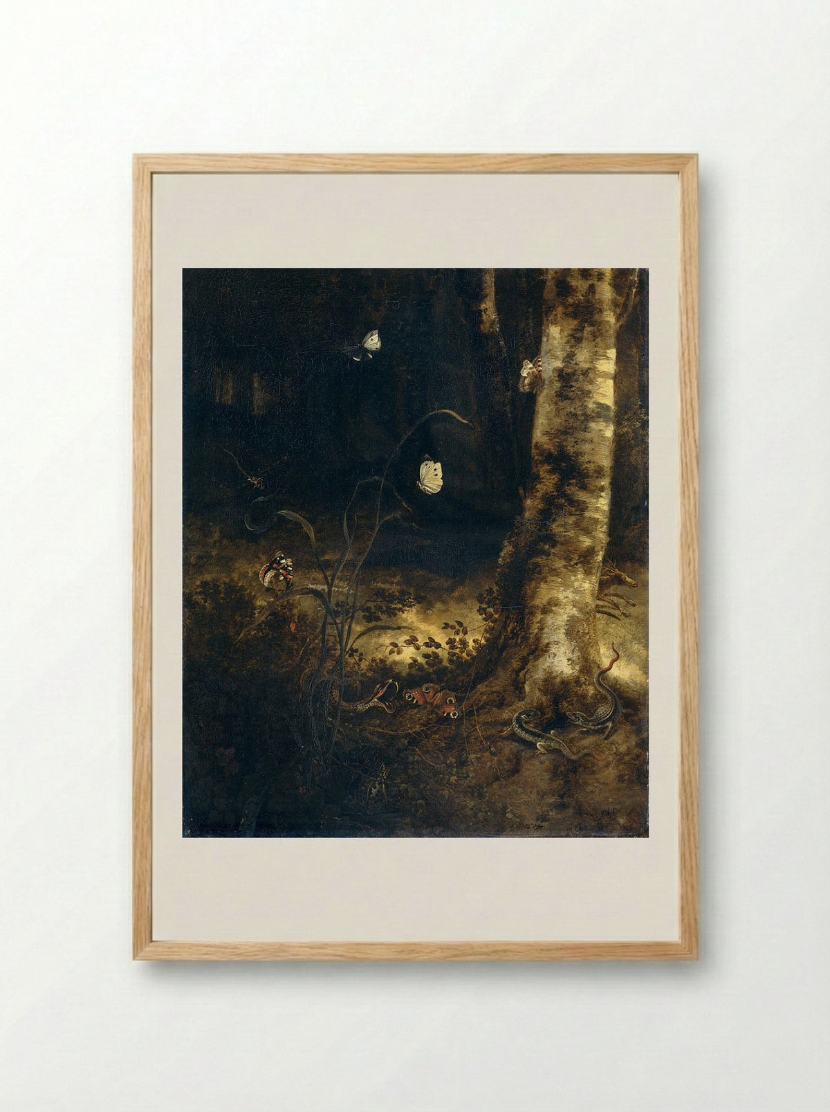 Forest Floor with a Snake, Lizards, Butterflies and Other Insects - Otto Marseus van Schrieck - Framed Print Wood