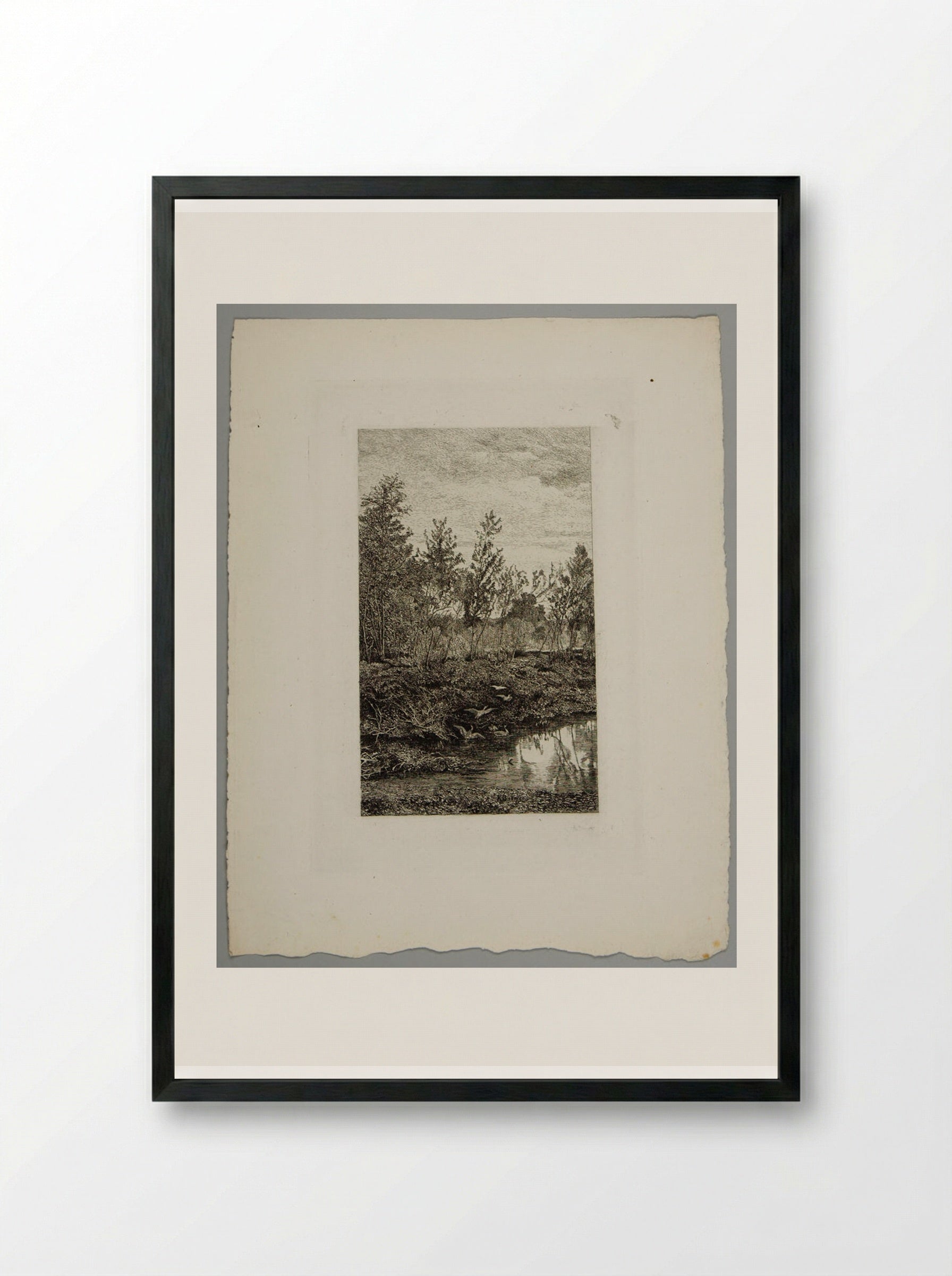 Forest Pool with Ducks - Karl Bodmer - Framed Print Black