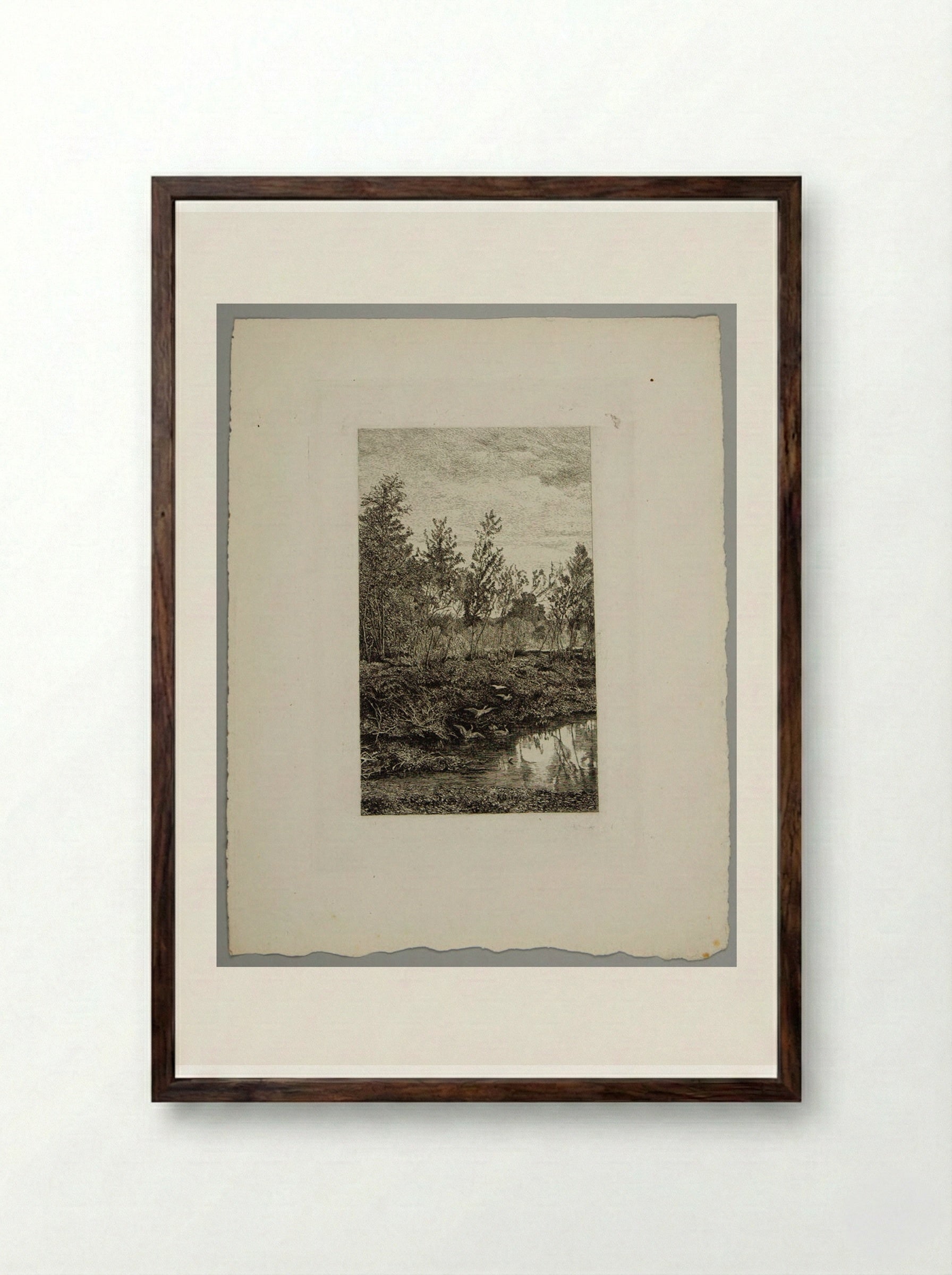 Forest Pool with Ducks - Karl Bodmer - Framed Print Dark Wood