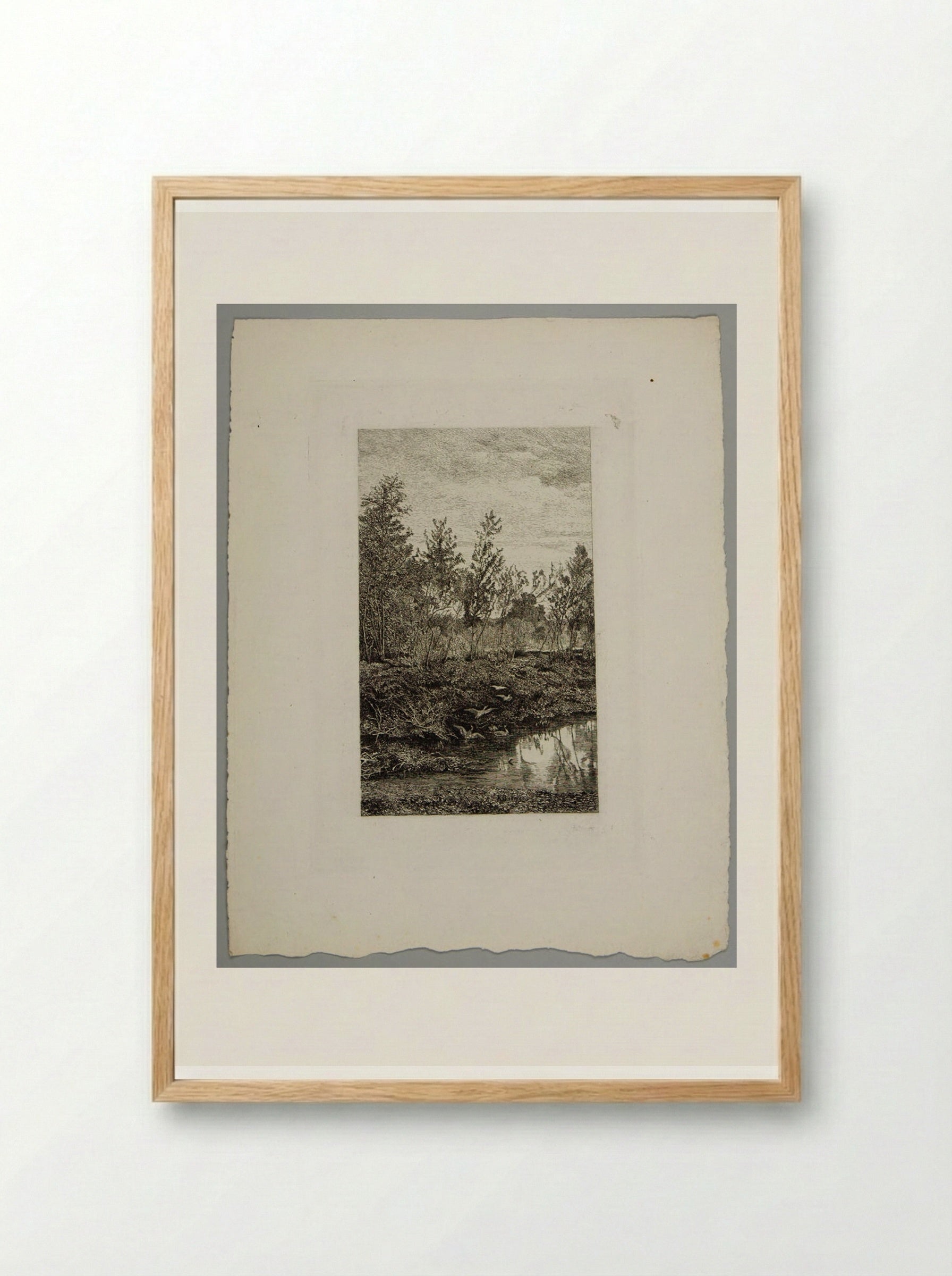 Forest Pool with Ducks - Karl Bodmer - Framed Print Wood