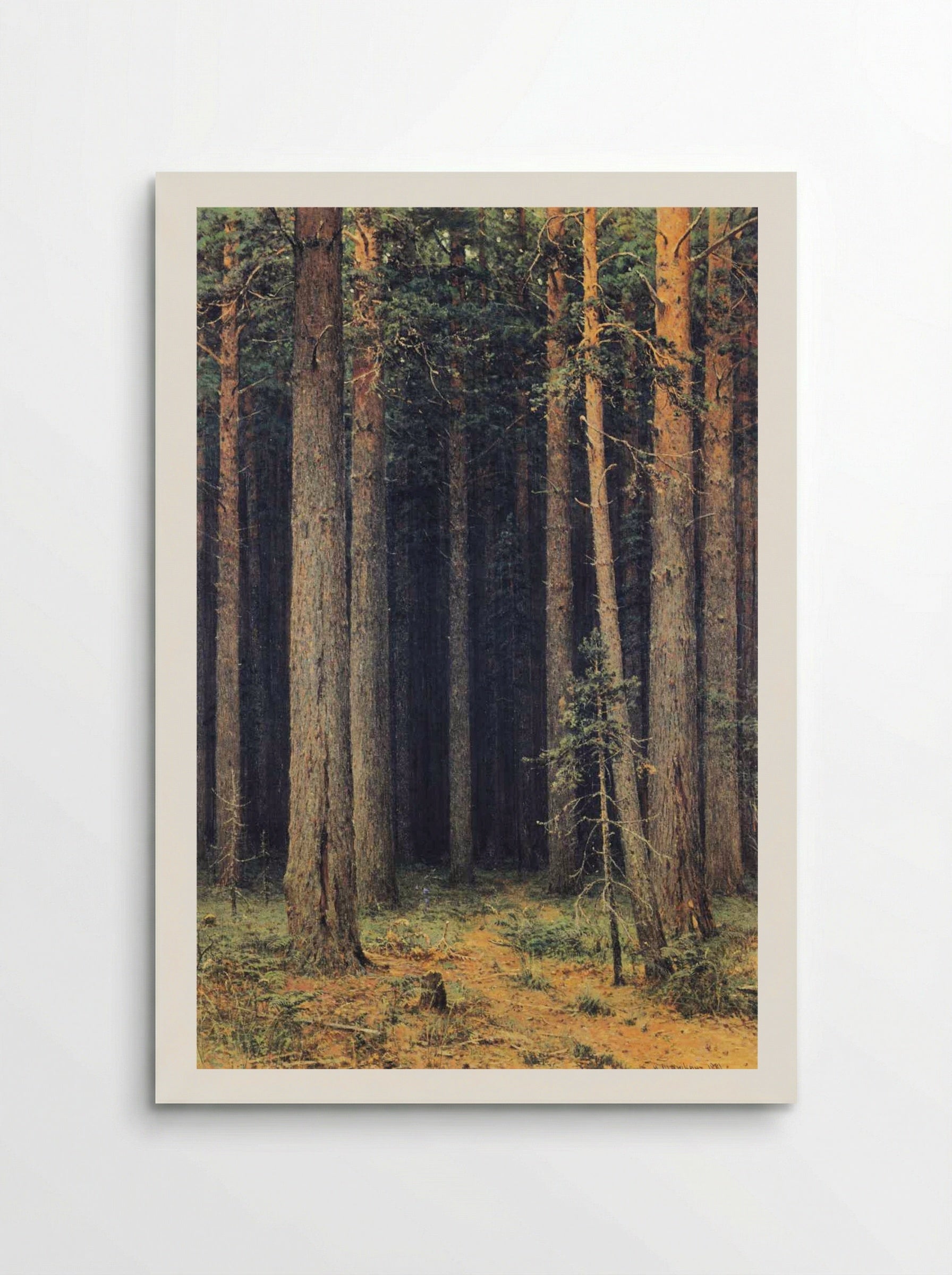 Forest Reserve. Pine Grove - Ivan Shishkin - Poster
