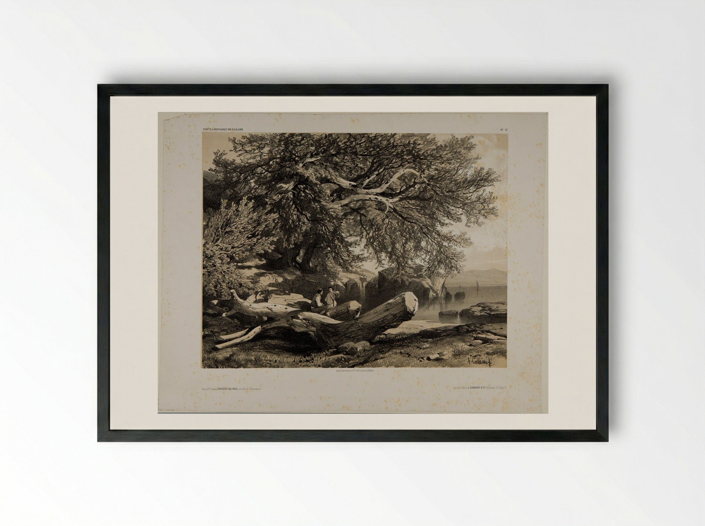 Forests and Mountains, Number 13 - Alexandre Calame - Framed Print Black