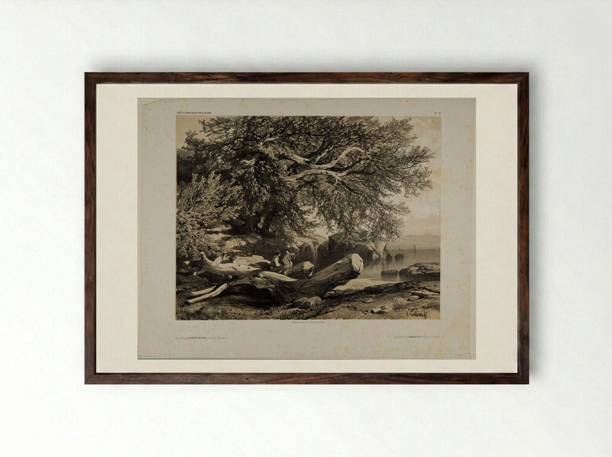 Forests and Mountains, Number 13 - Alexandre Calame - Framed Print Dark Wood