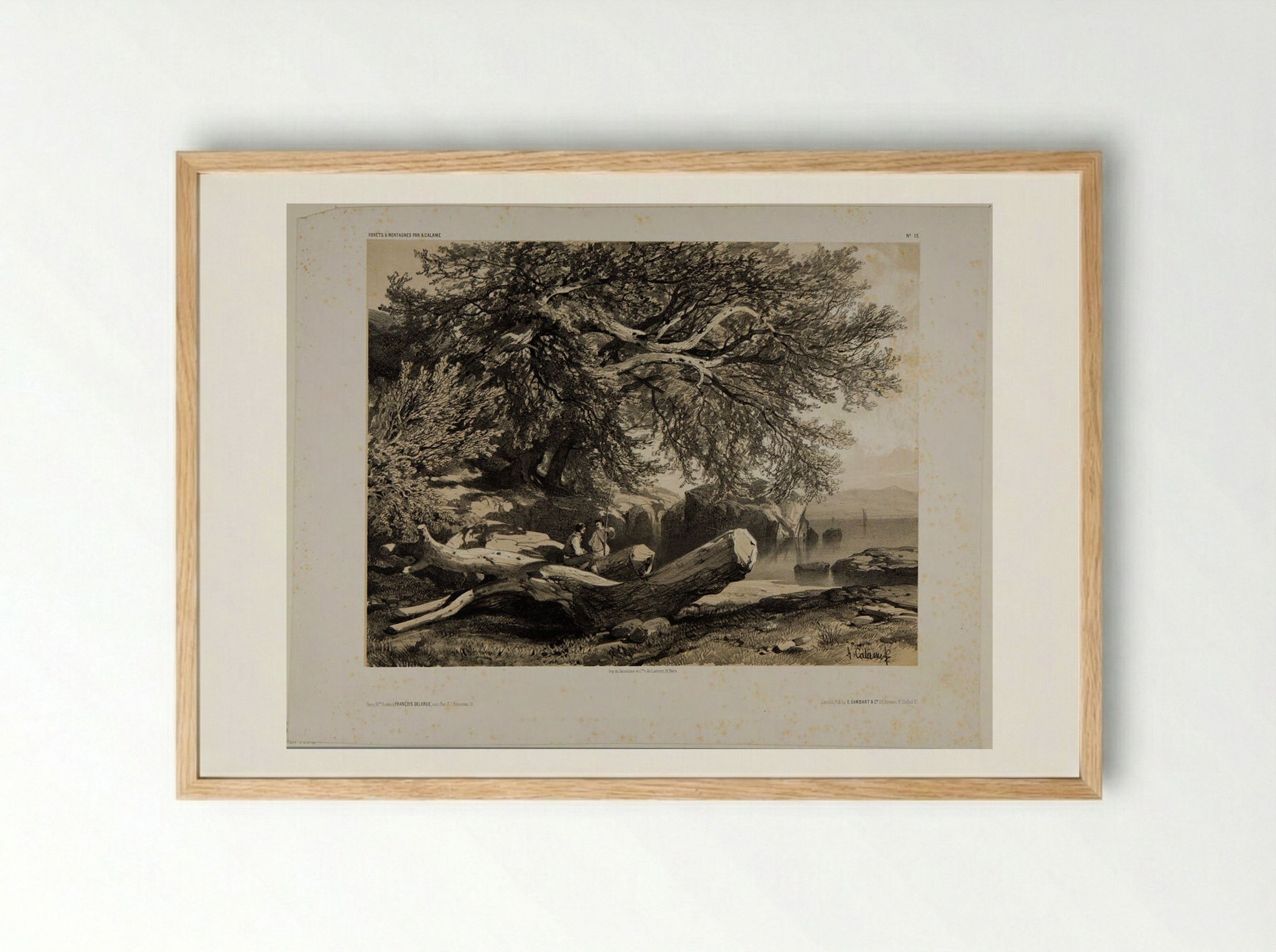 Forests and Mountains, Number 13 - Alexandre Calame - Framed Print Wood
