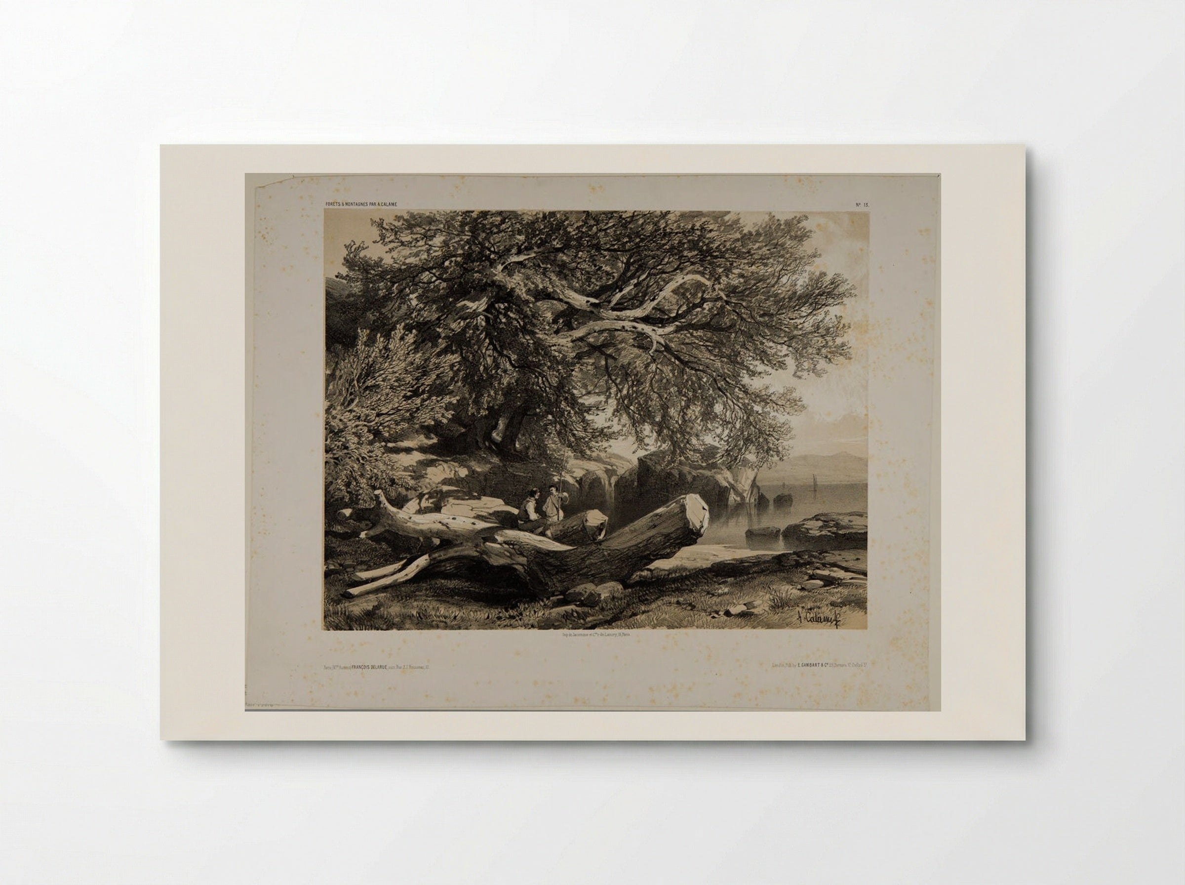 Forests and Mountains, Number 13 - Alexandre Calame - Poster
