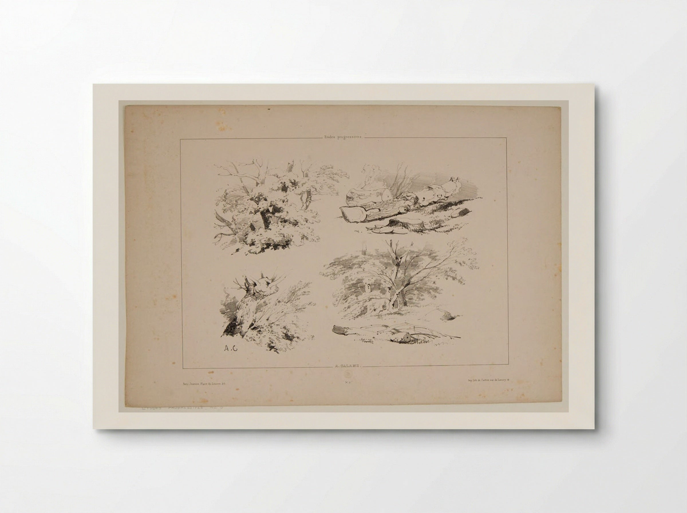 Four Sketches of Trees and Logs - Alexandre Calame - Poster