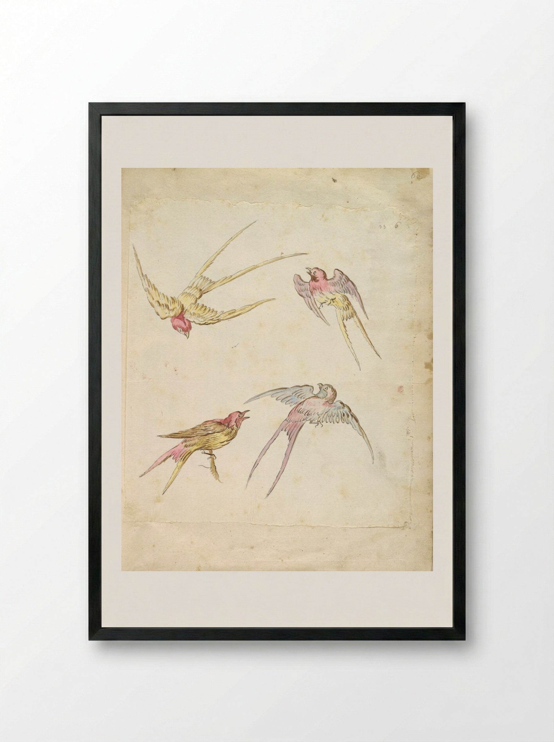 Four Swallows, One Perched and Three in Flight - Jean-Baptiste Oudry - Framed Print Black
