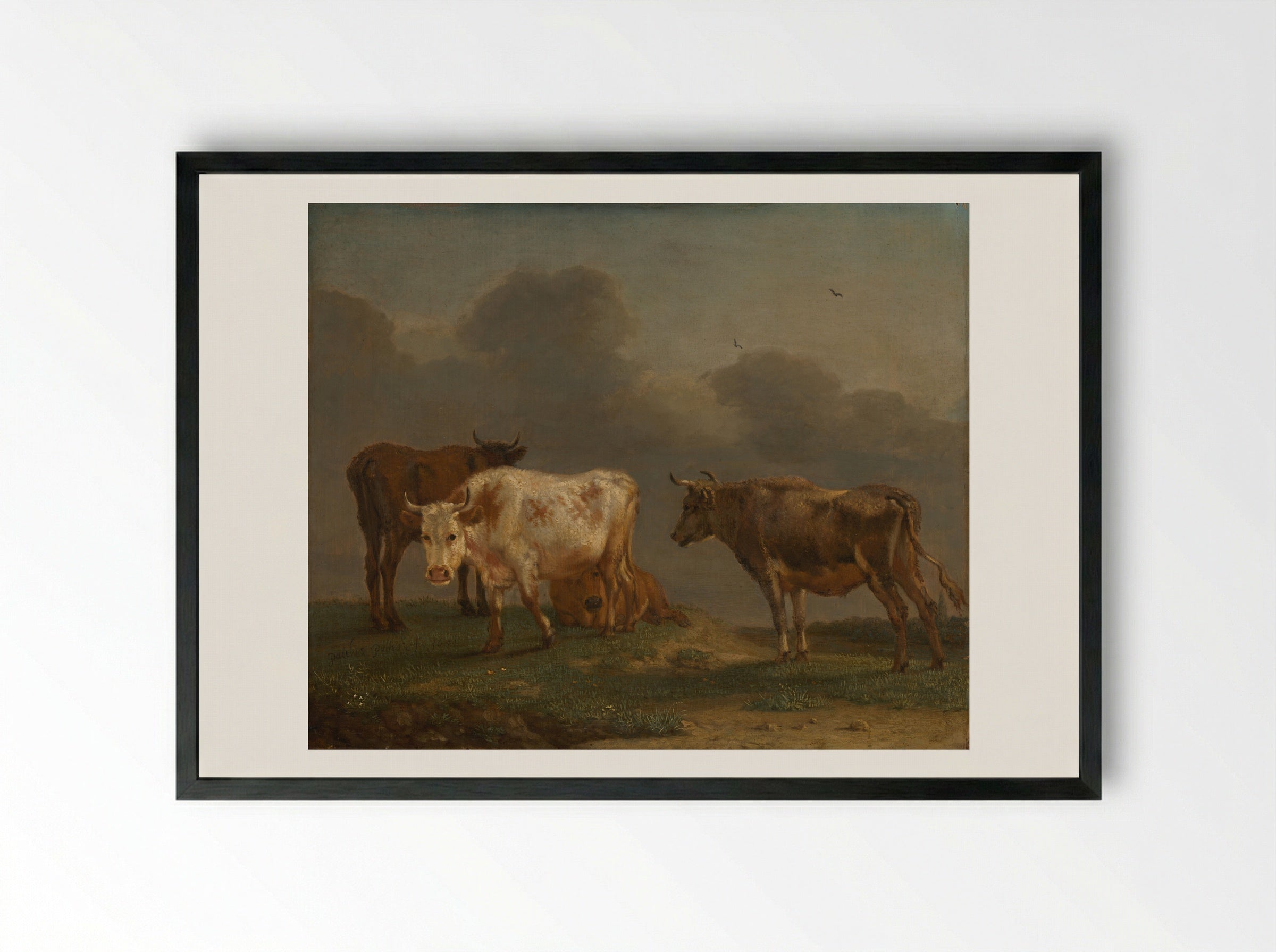 Four Young Bulls in a Meadow - Paulus Potter - Framed Print Black