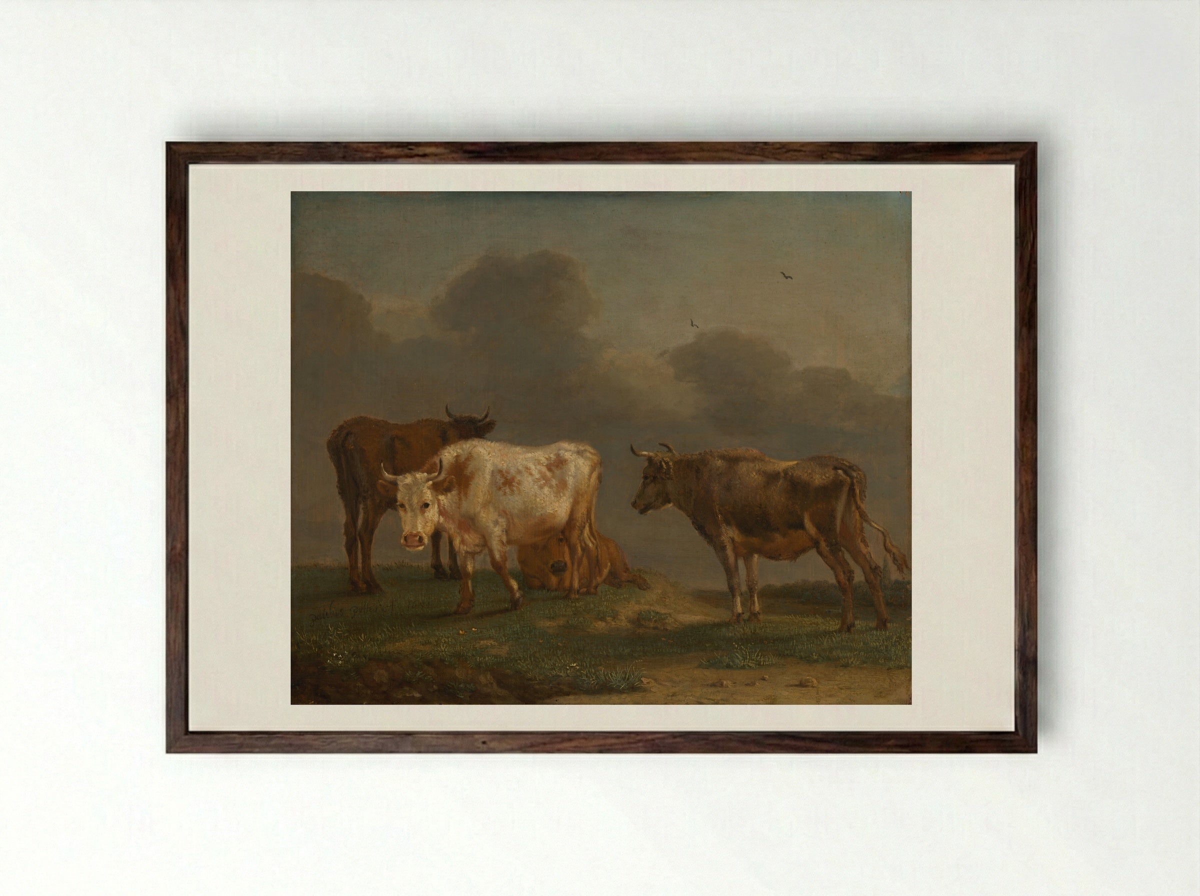 Four Young Bulls in a Meadow - Paulus Potter - Framed Print Dark Wood