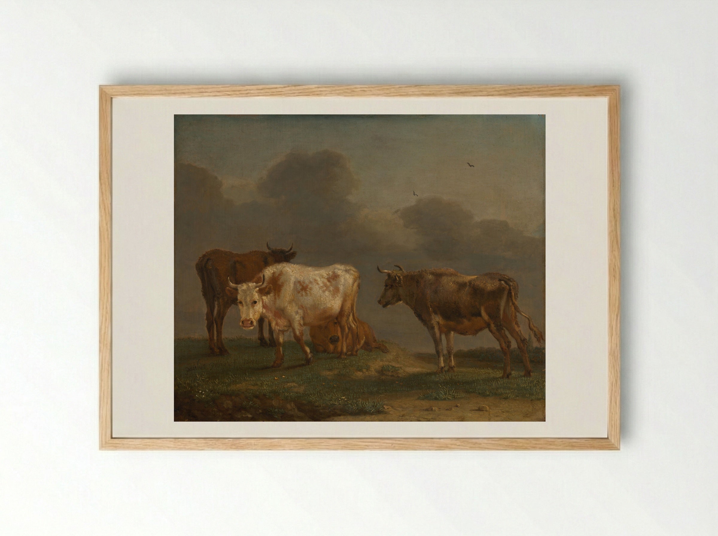 Four Young Bulls in a Meadow - Paulus Potter - Framed Print Wood