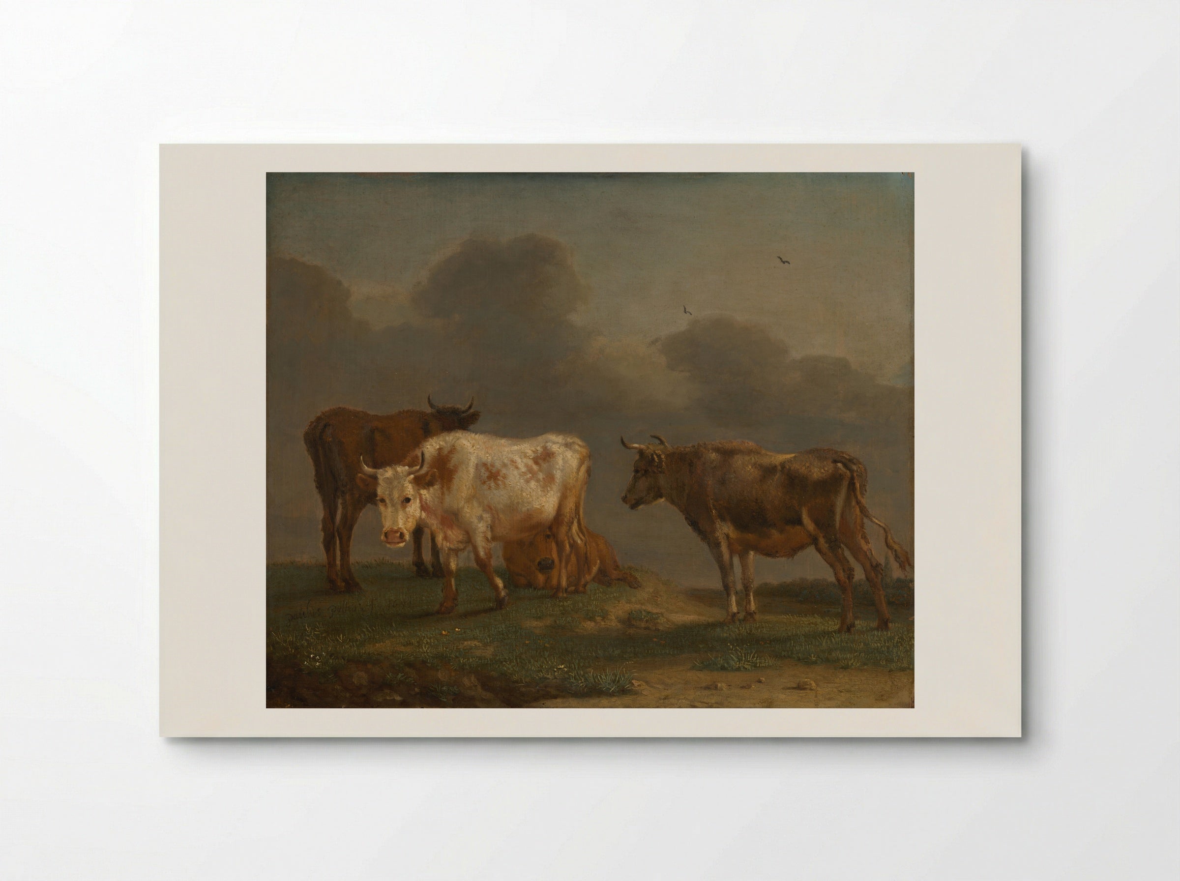 Four Young Bulls in a Meadow - Paulus Potter - Poster