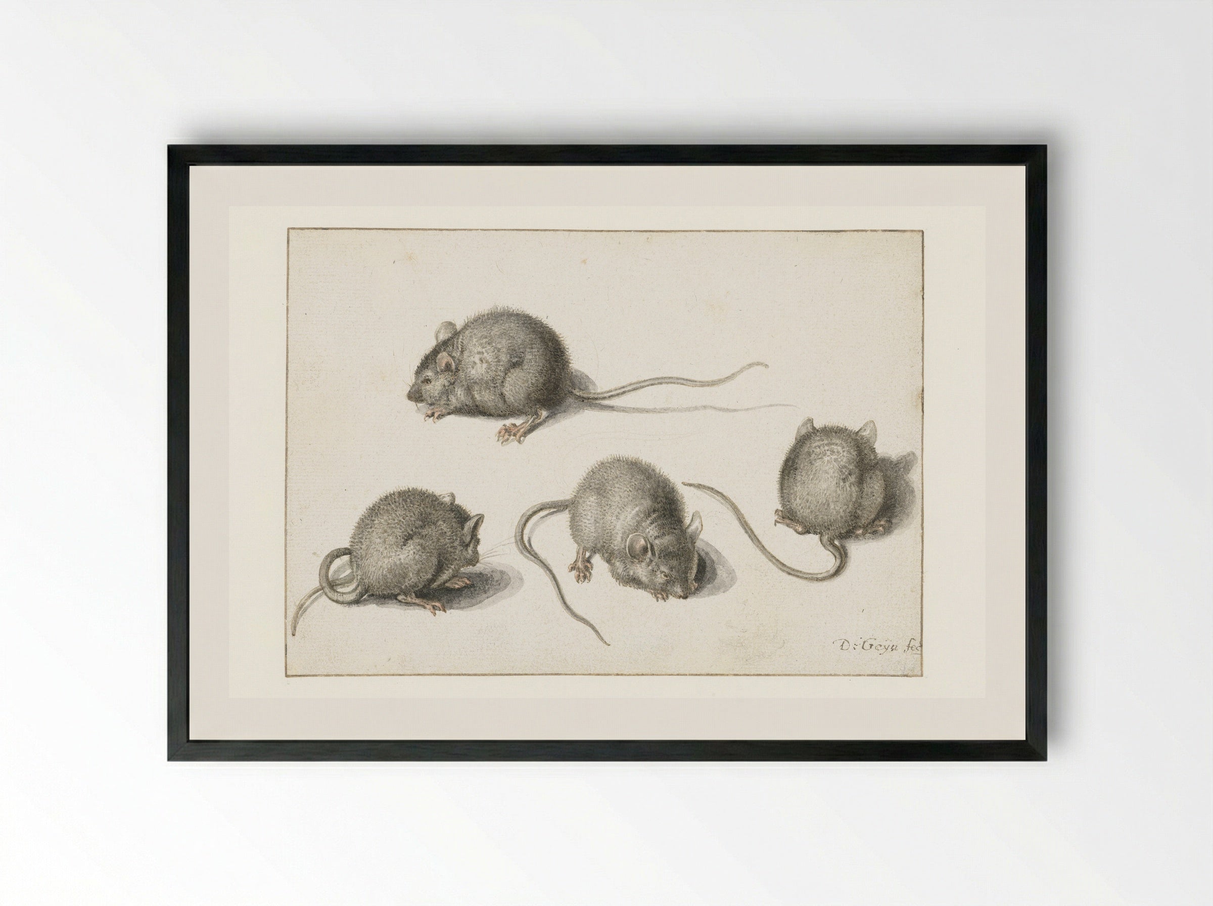 Four studies of a diseased mouse - Jacques de Gheyn (II) - Framed Print Black