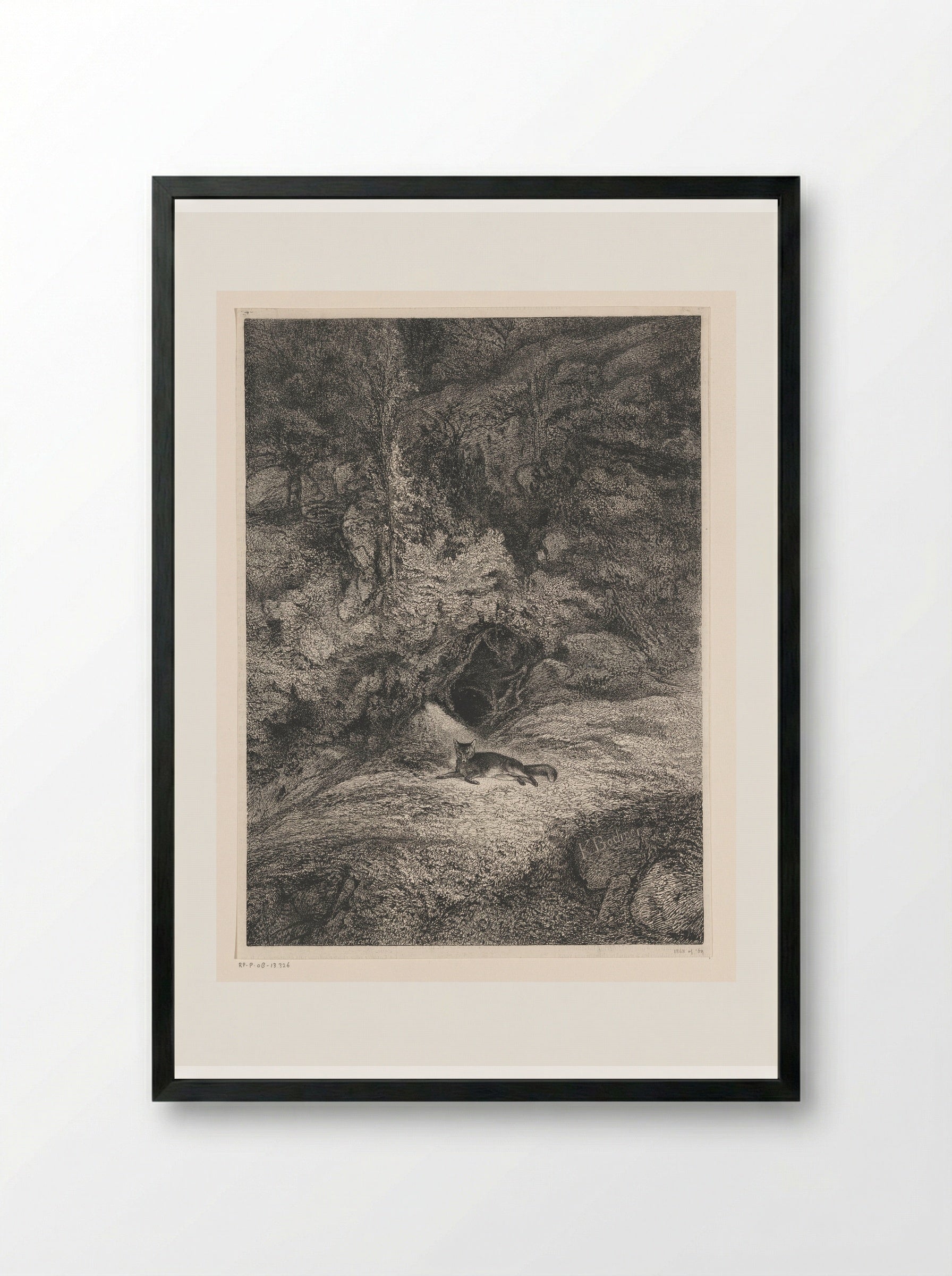 Fox - Karl Bodmer - Framed Print Black