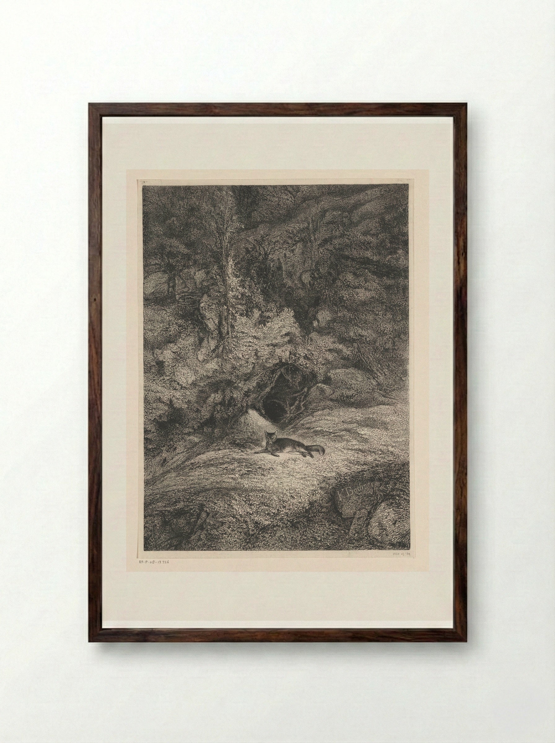 Fox - Karl Bodmer - Framed Print Dark Wood