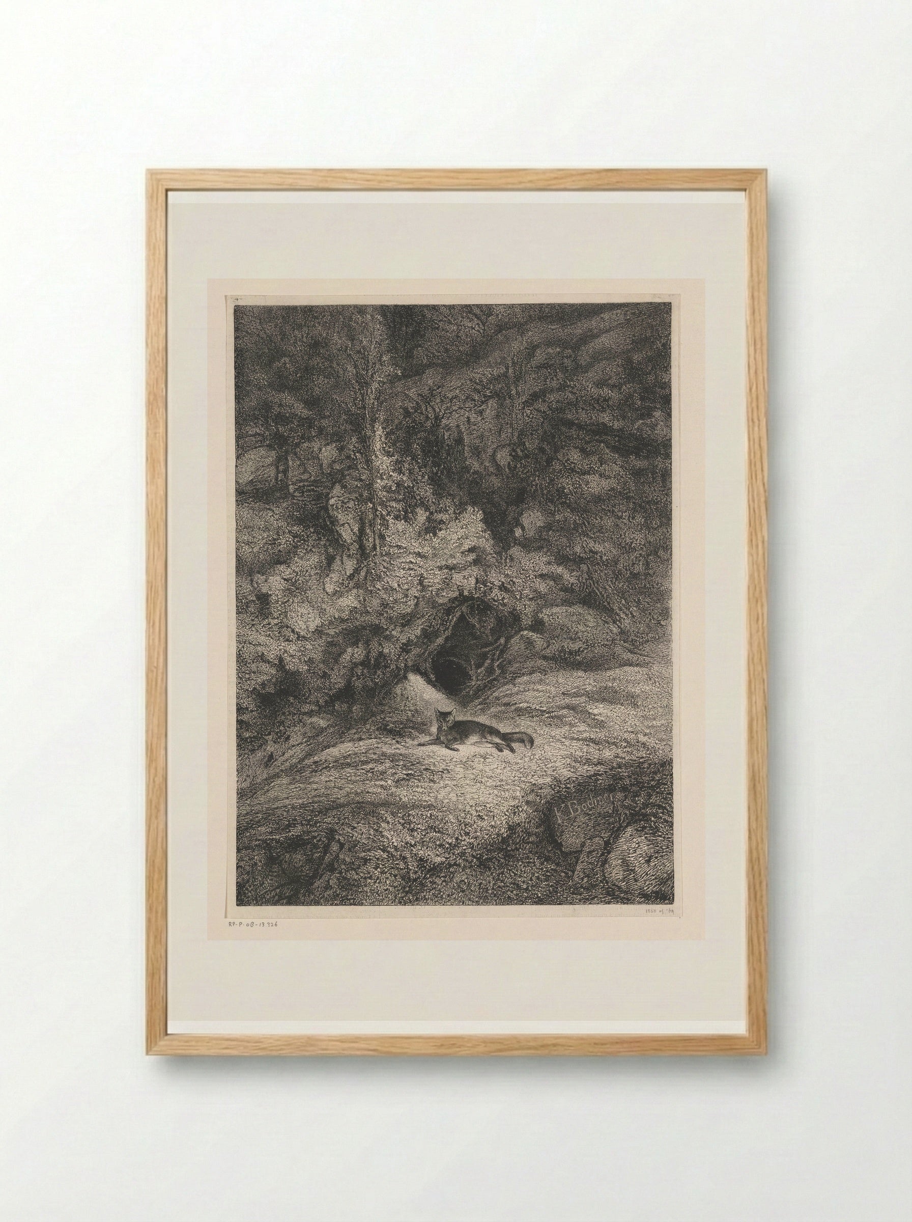 Fox - Karl Bodmer - Framed Print Wood
