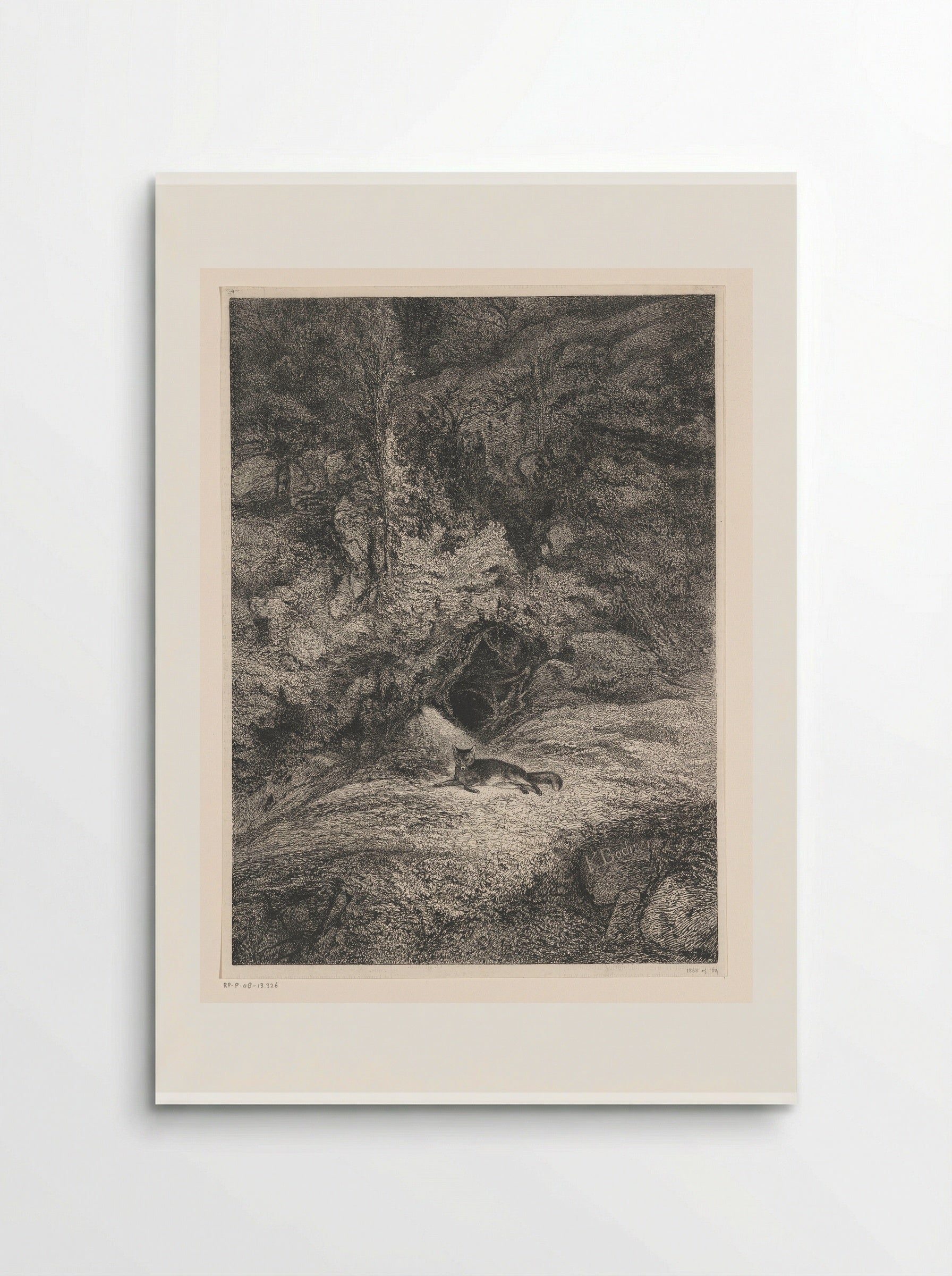Fox - Karl Bodmer - Poster