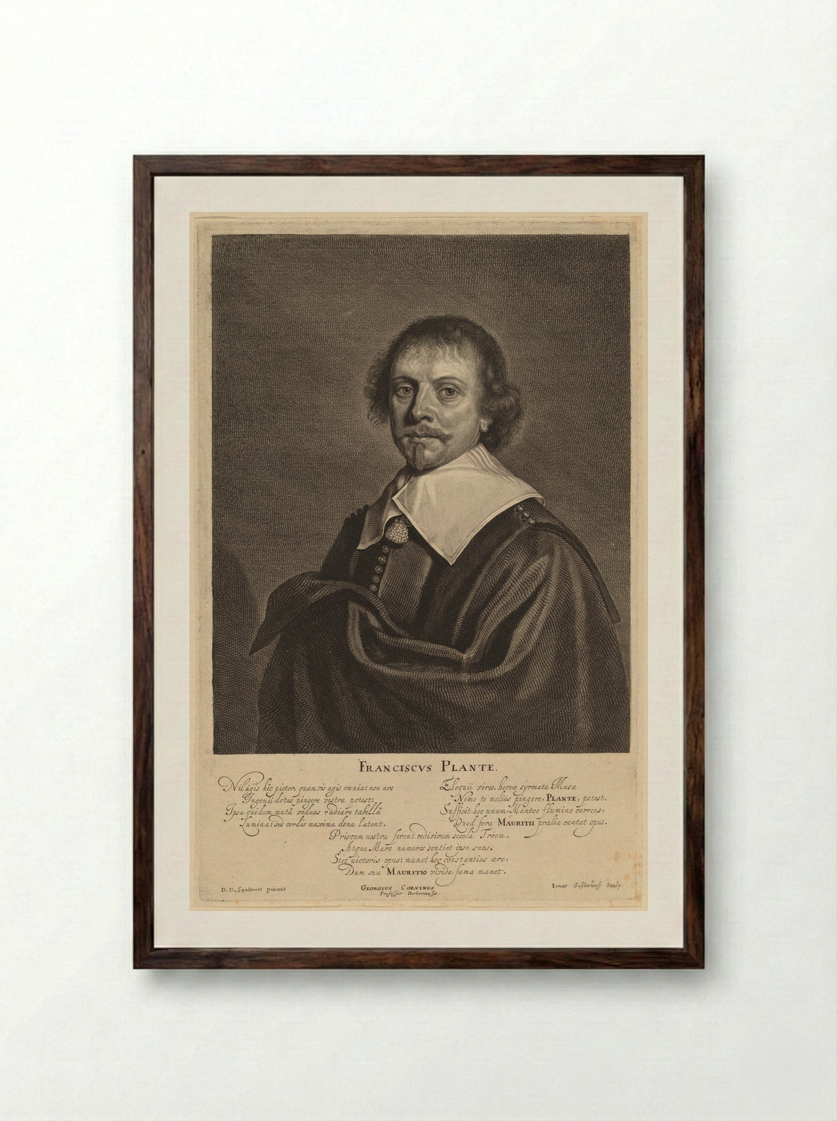 Franciscus Plante - Jonas Suyderhoef - Framed Print Dark Wood