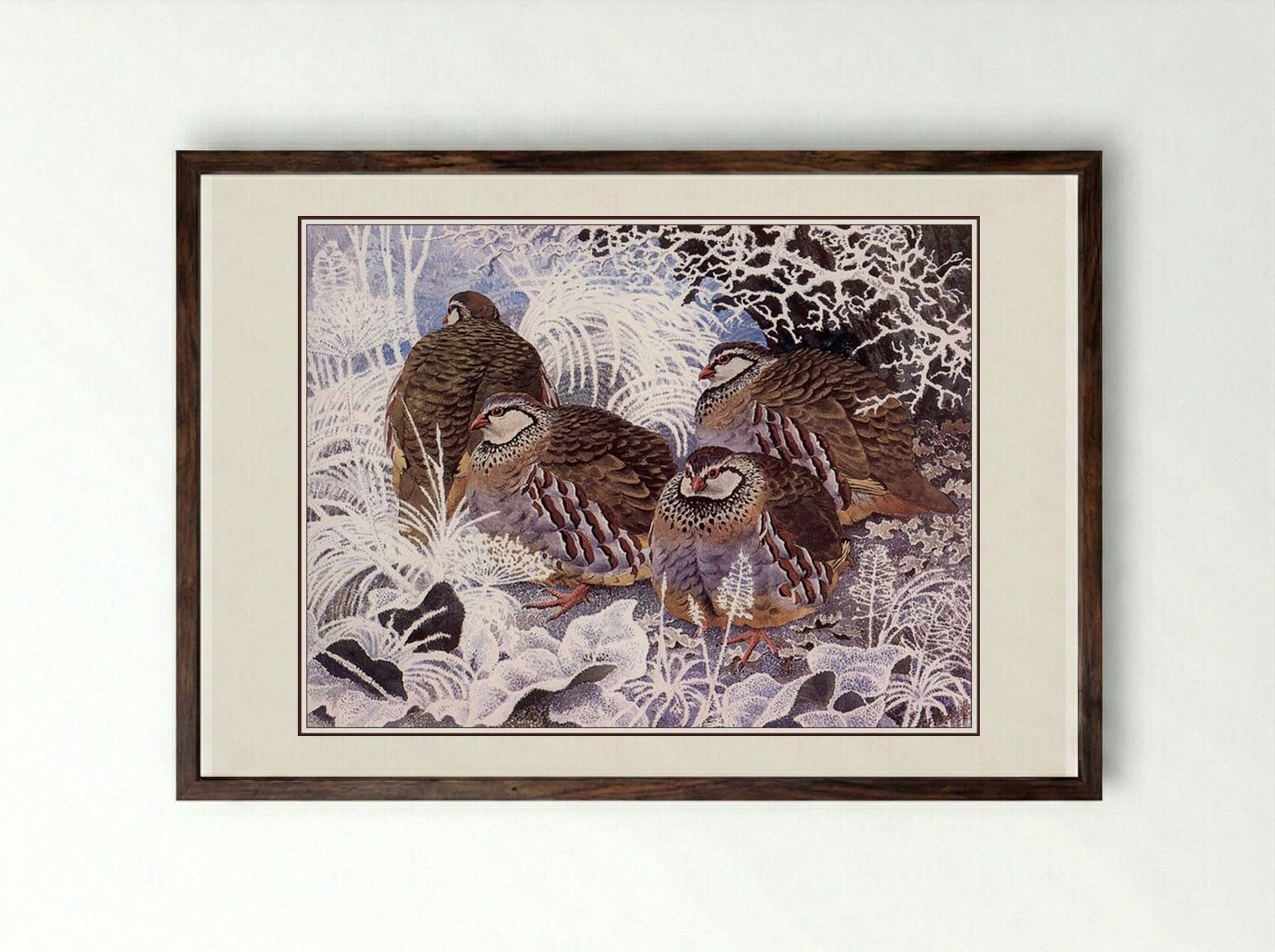 French Partridges - Charles Tunnicliffe - Framed Print Dark Wood