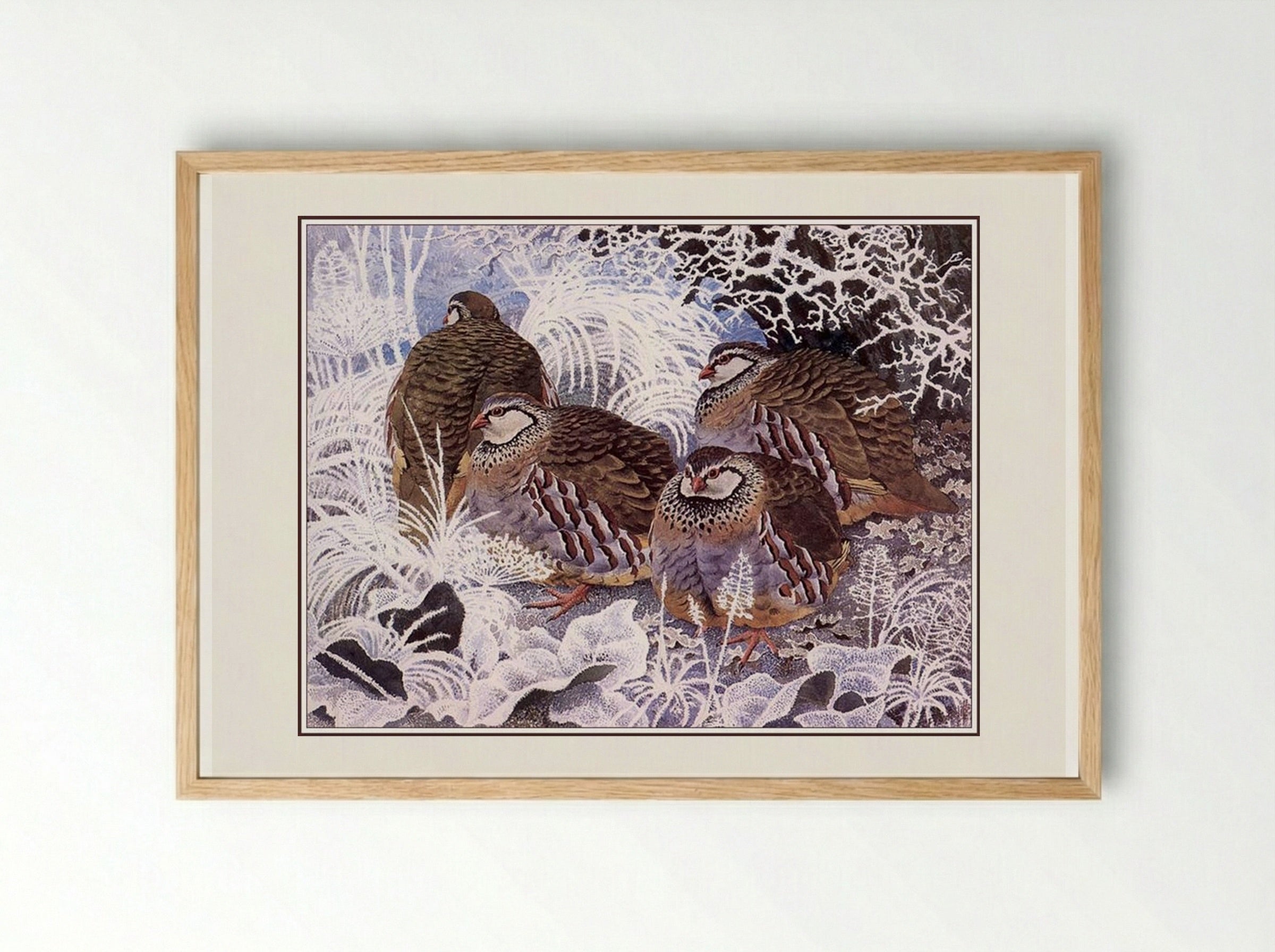 French Partridges - Charles Tunnicliffe - Framed Print Wood