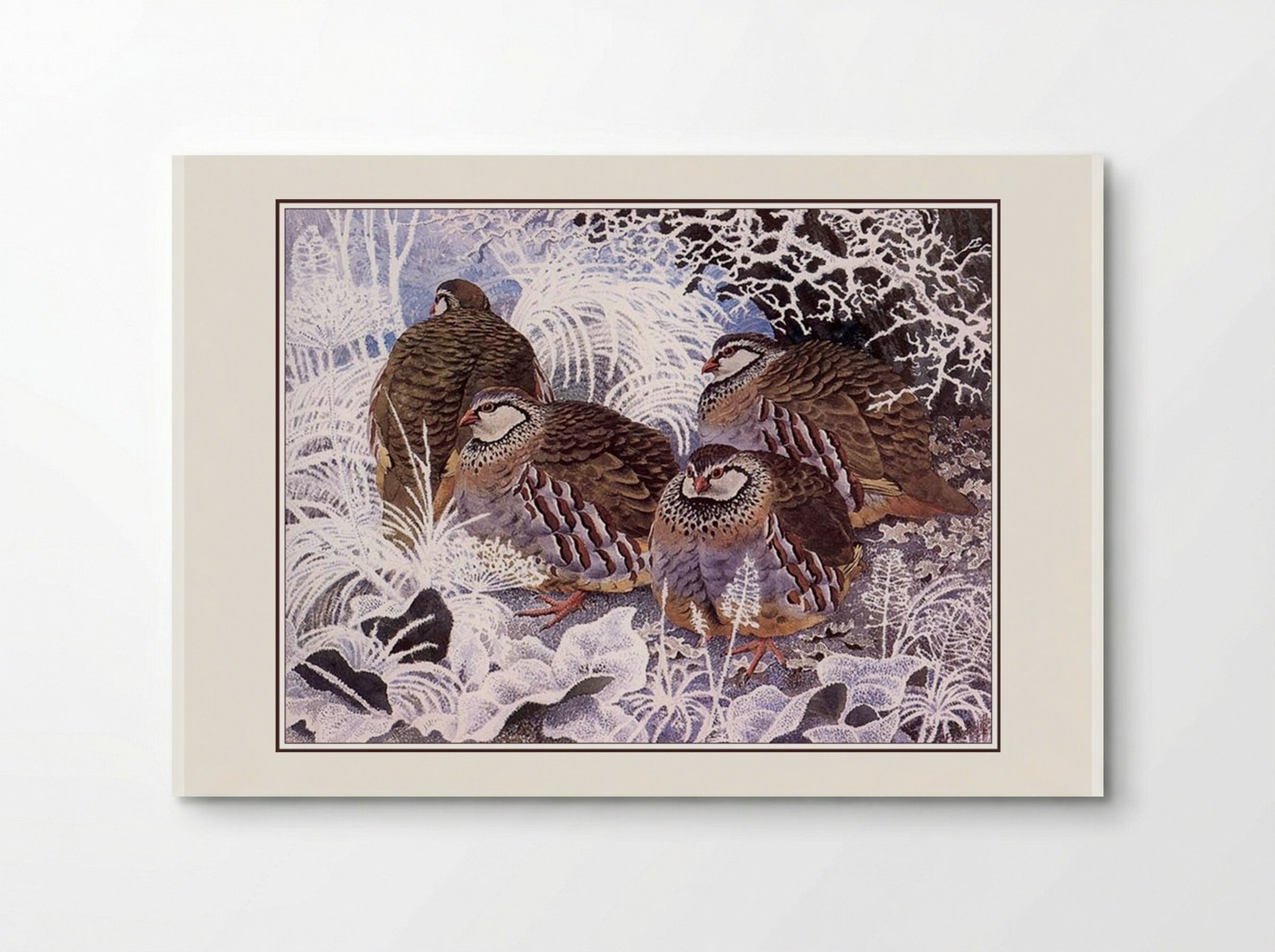 French Partridges - Charles Tunnicliffe - Poster