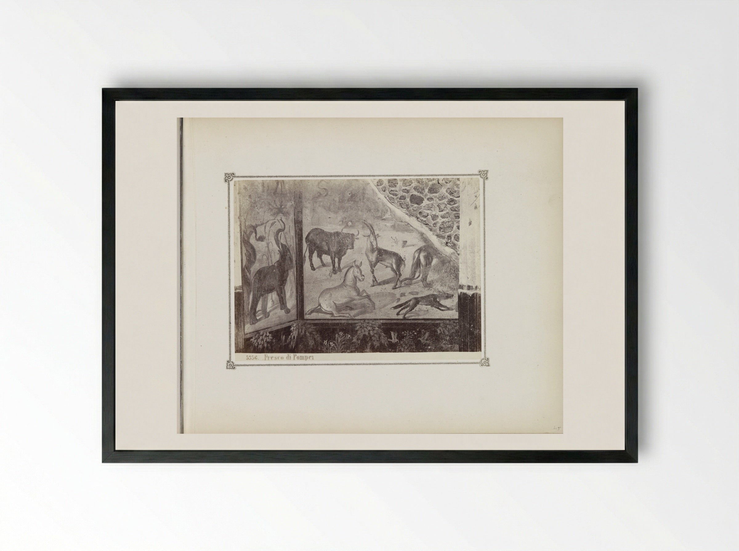 Fresco in Pompeii, Depicting Wild Animals - Giorgio Sommer - Framed Print Black