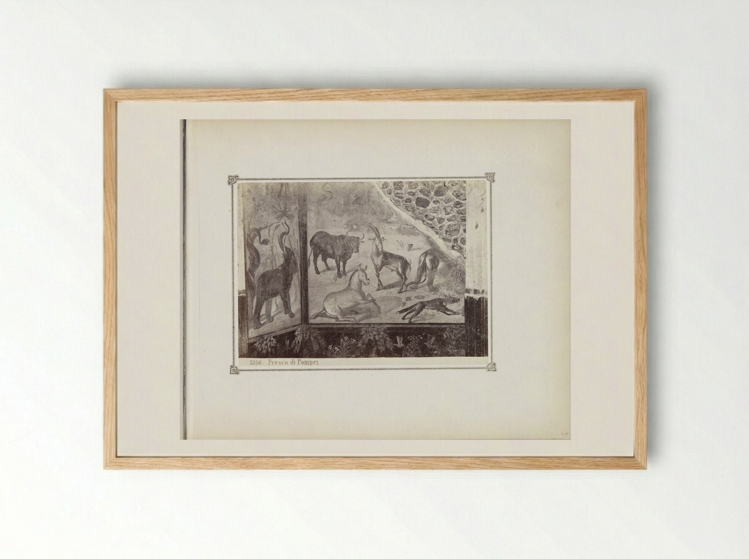 Fresco in Pompeii, Depicting Wild Animals - Giorgio Sommer - Framed Print Wood