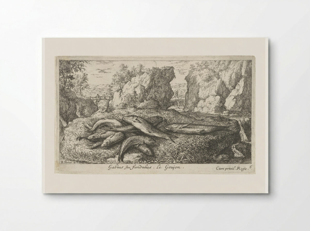 Gabius sive fundulus - Albert Flamen - Poster