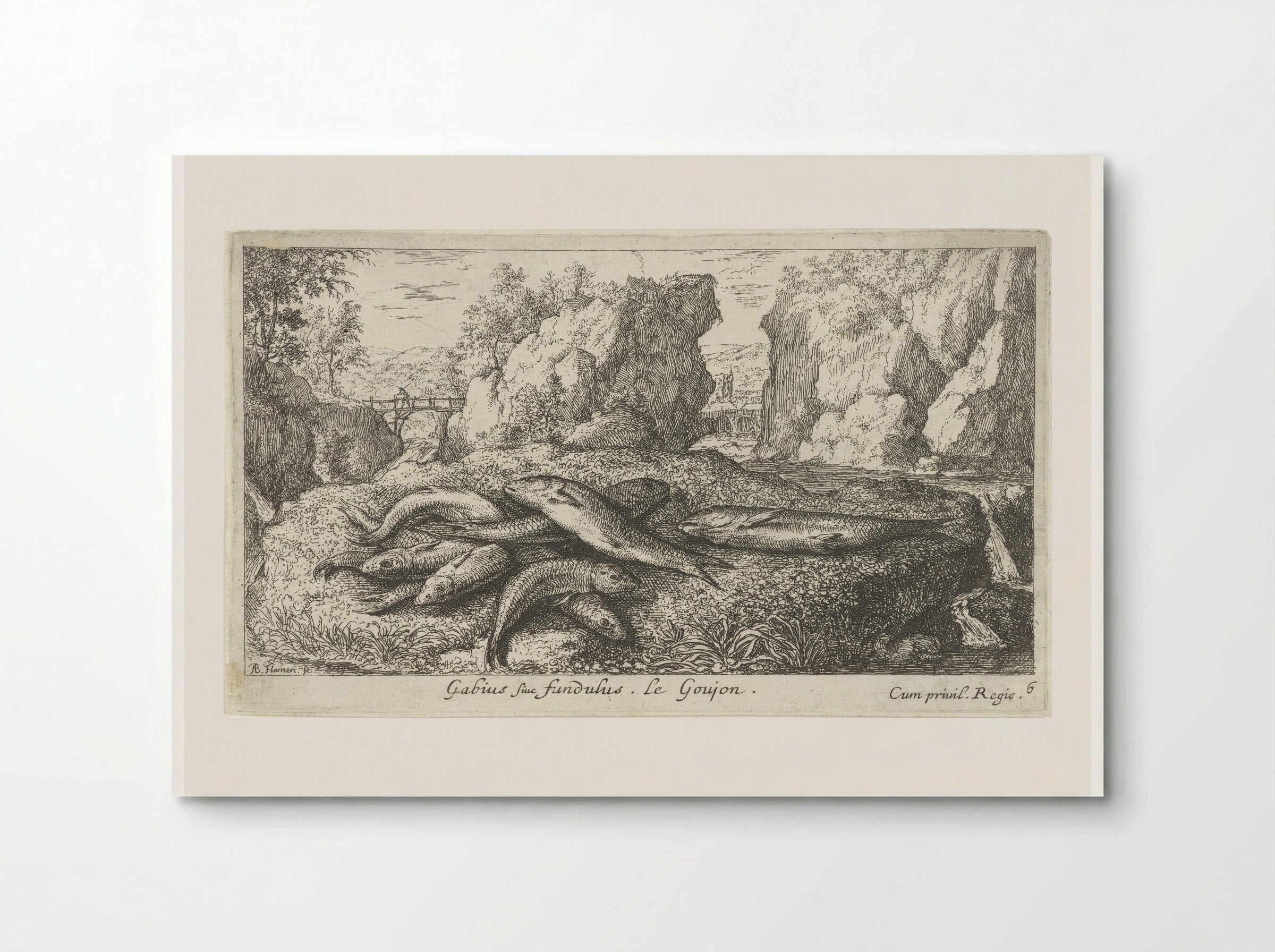 Gabius sive fundulus - Albert Flamen - Poster